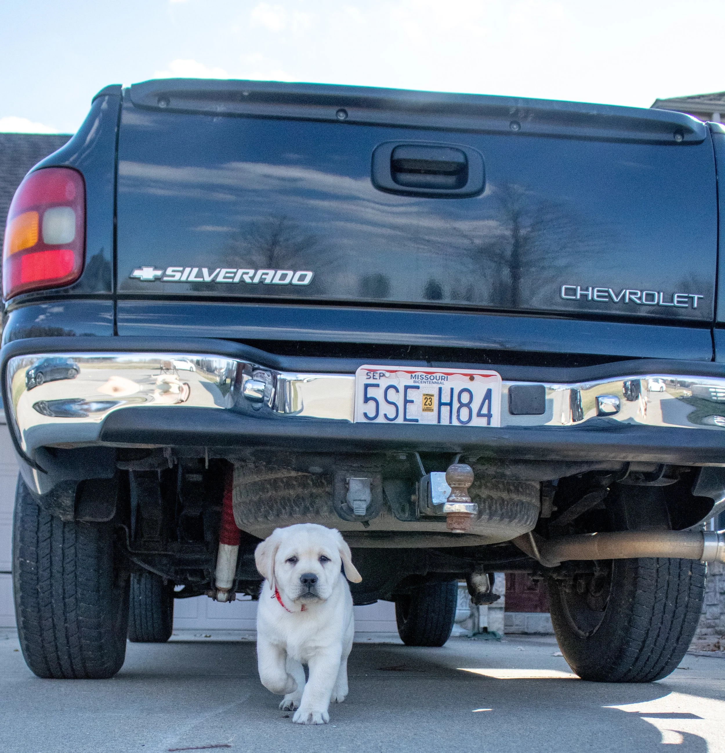 Portfolio images-17.jpg