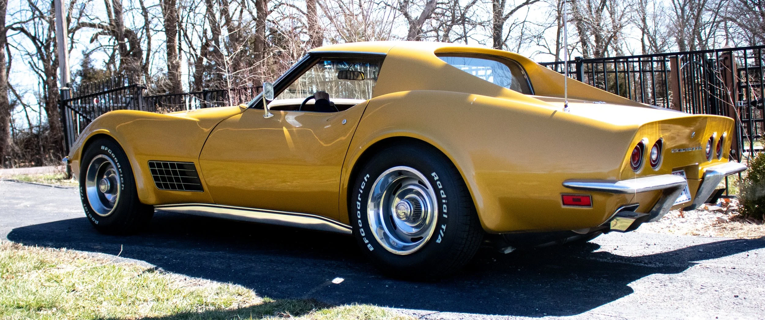 Portfolio images-29.jpg