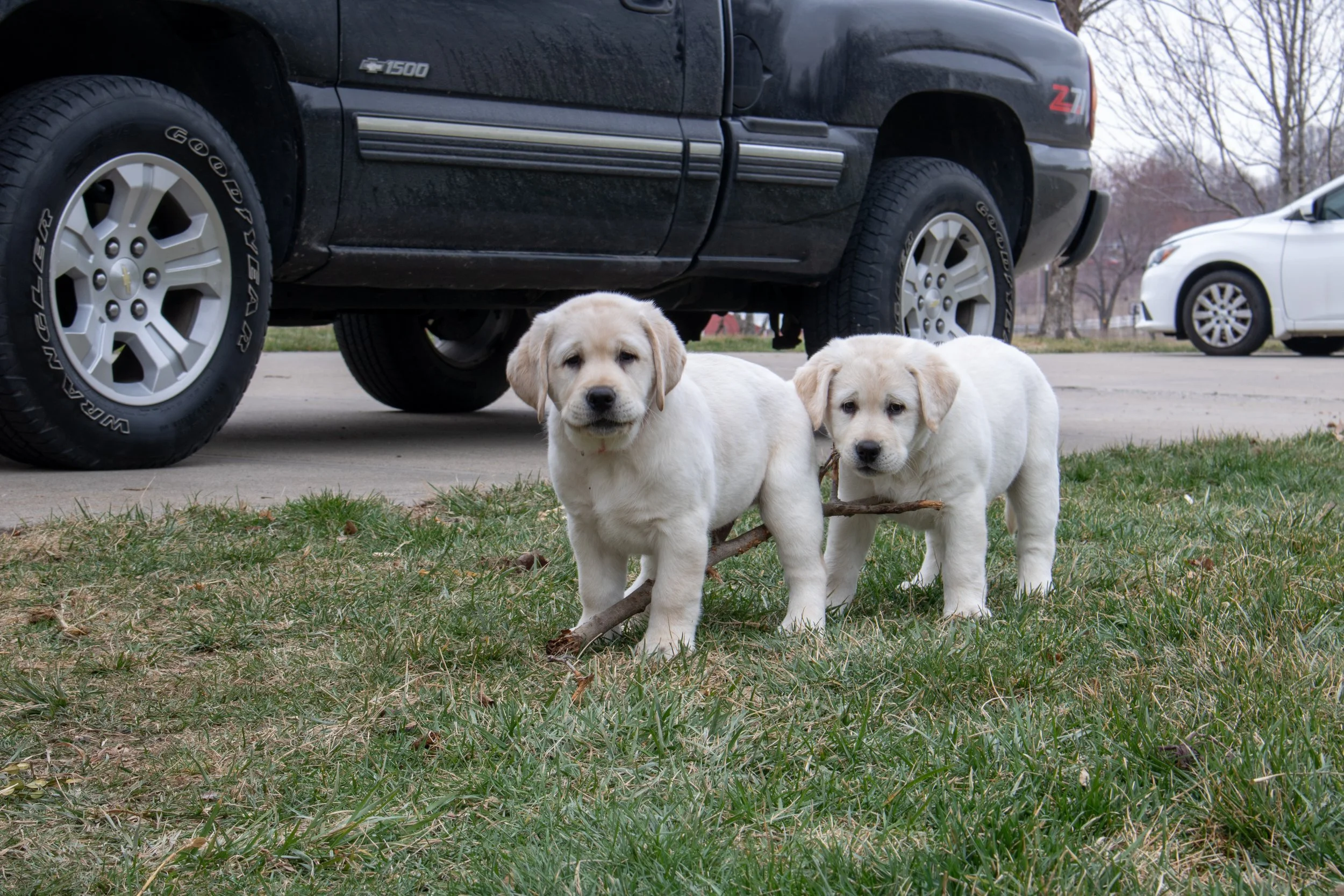 Portfolio images-20.jpg