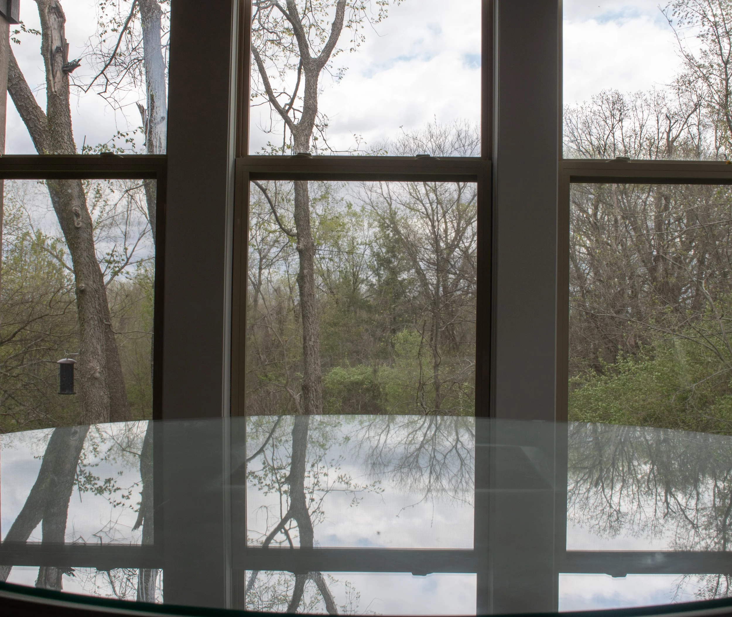 Portfolio images-31.jpg