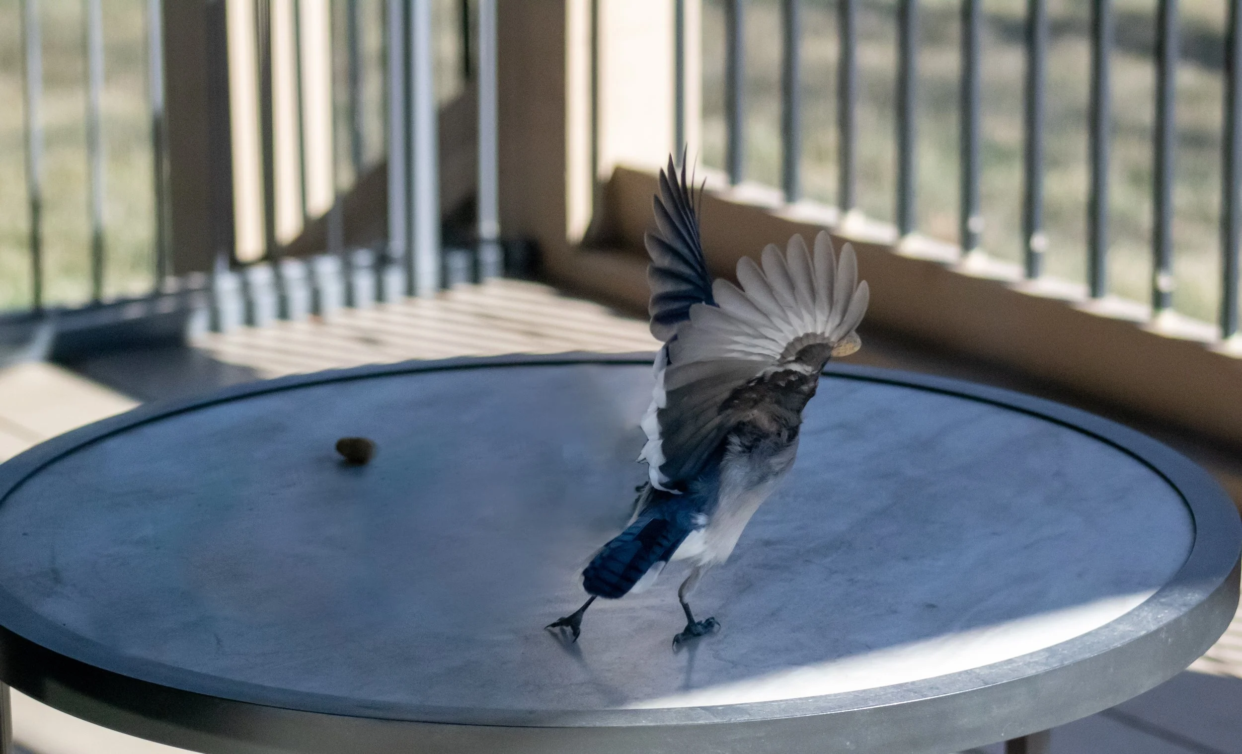 Portfolio images-6.jpg