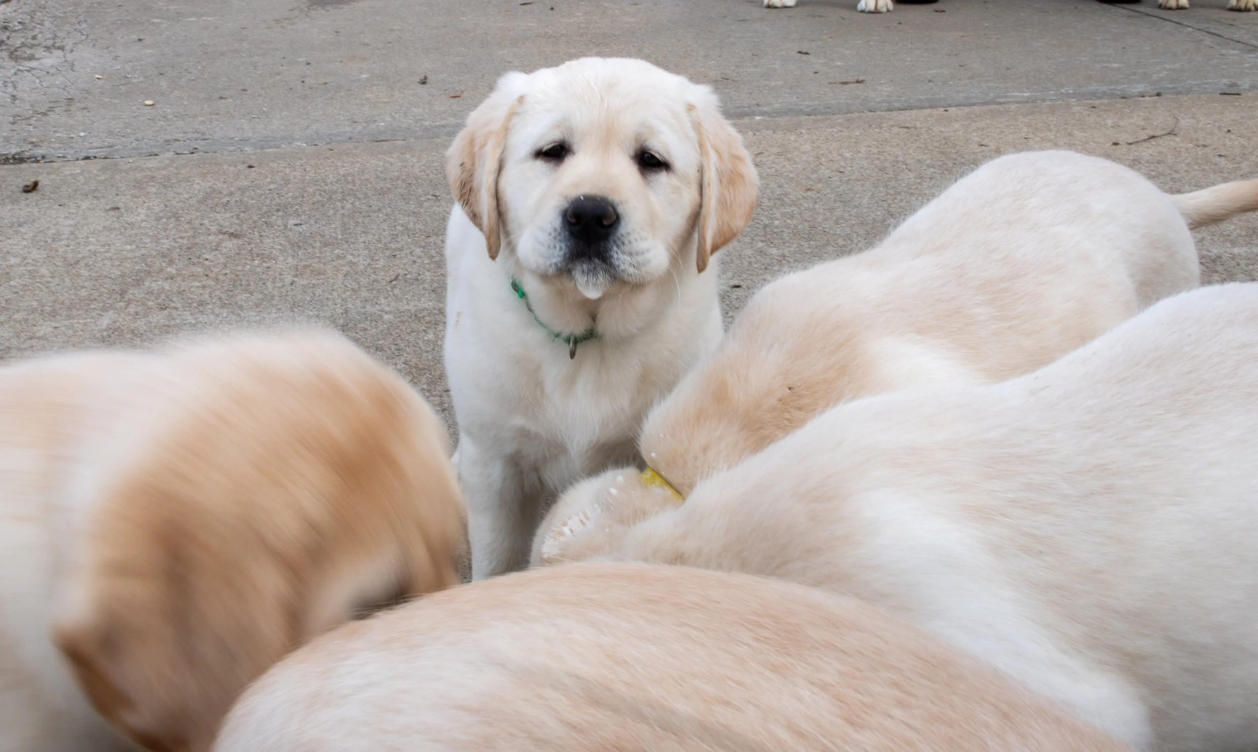 Portfolio images-21.jpg