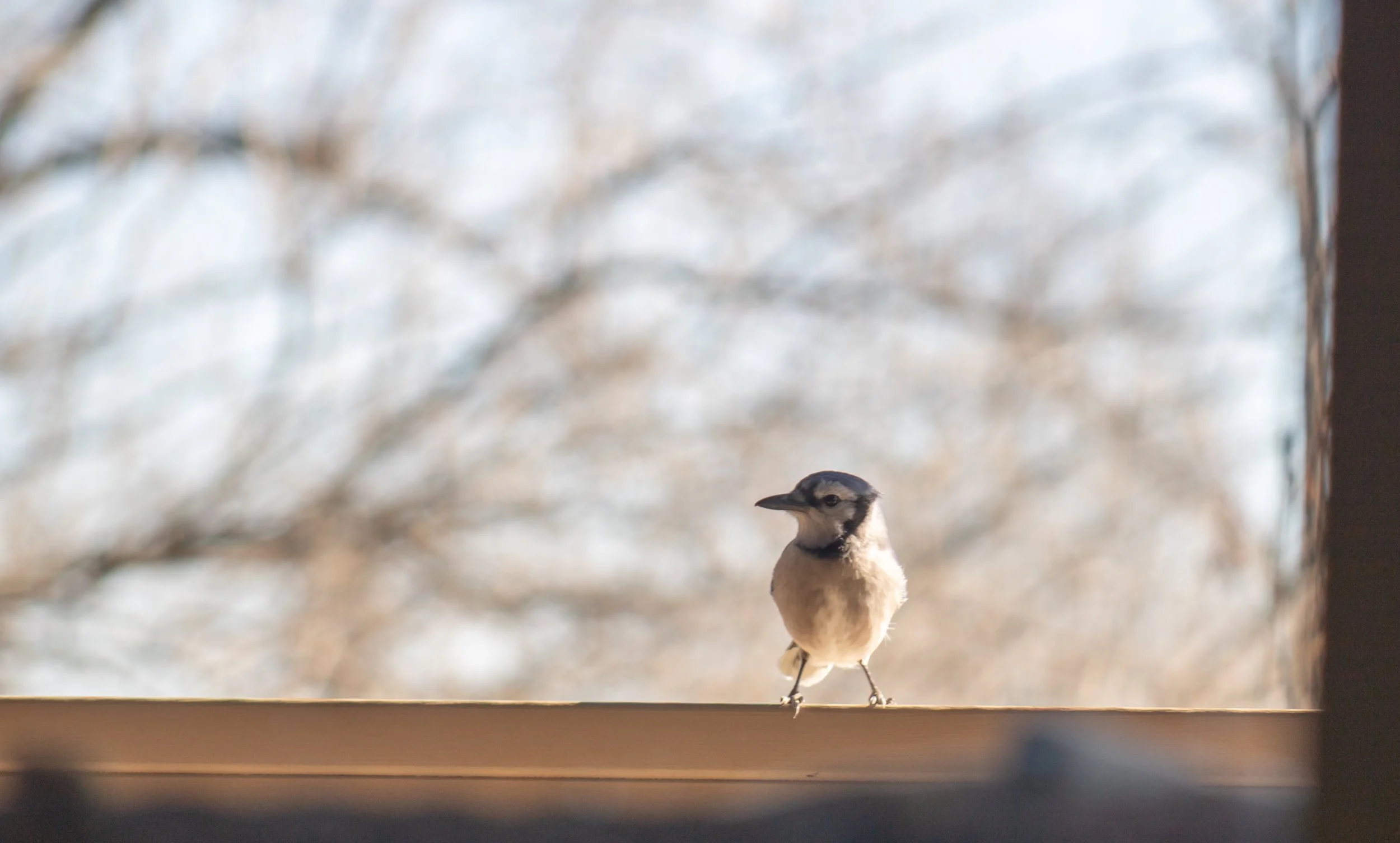 Portfolio images-5.jpg