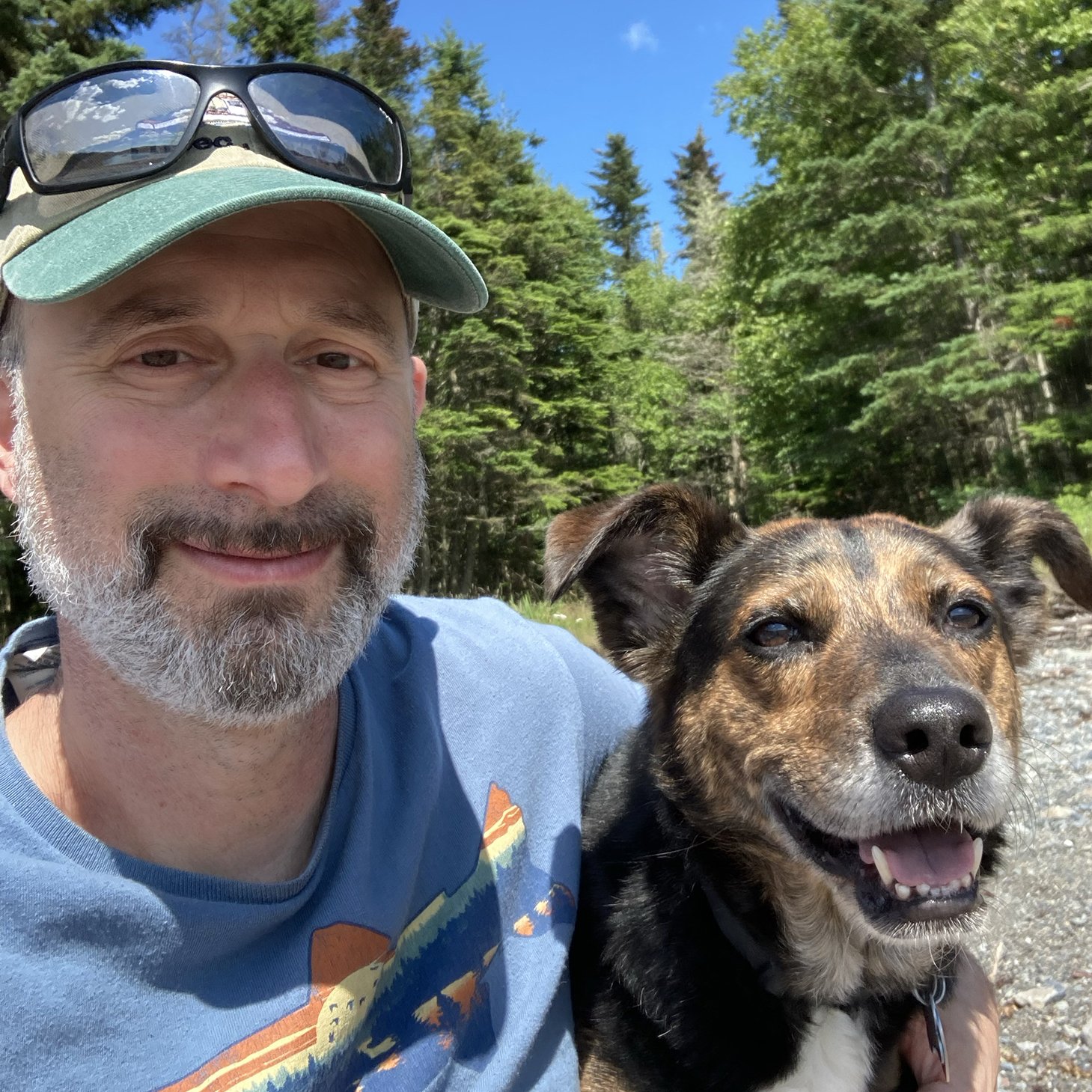 Headshot for Dave Horowitz