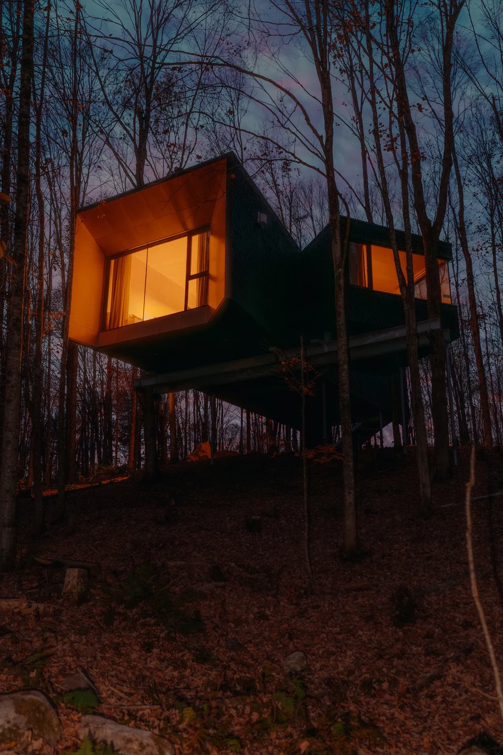 Härtwood Treehouse - Image 2
