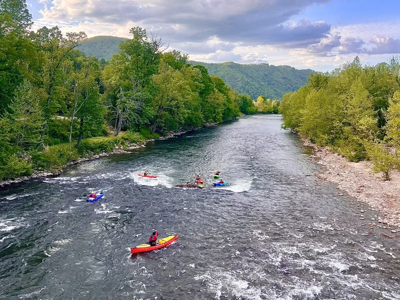 APEs Annual Winter Meeting