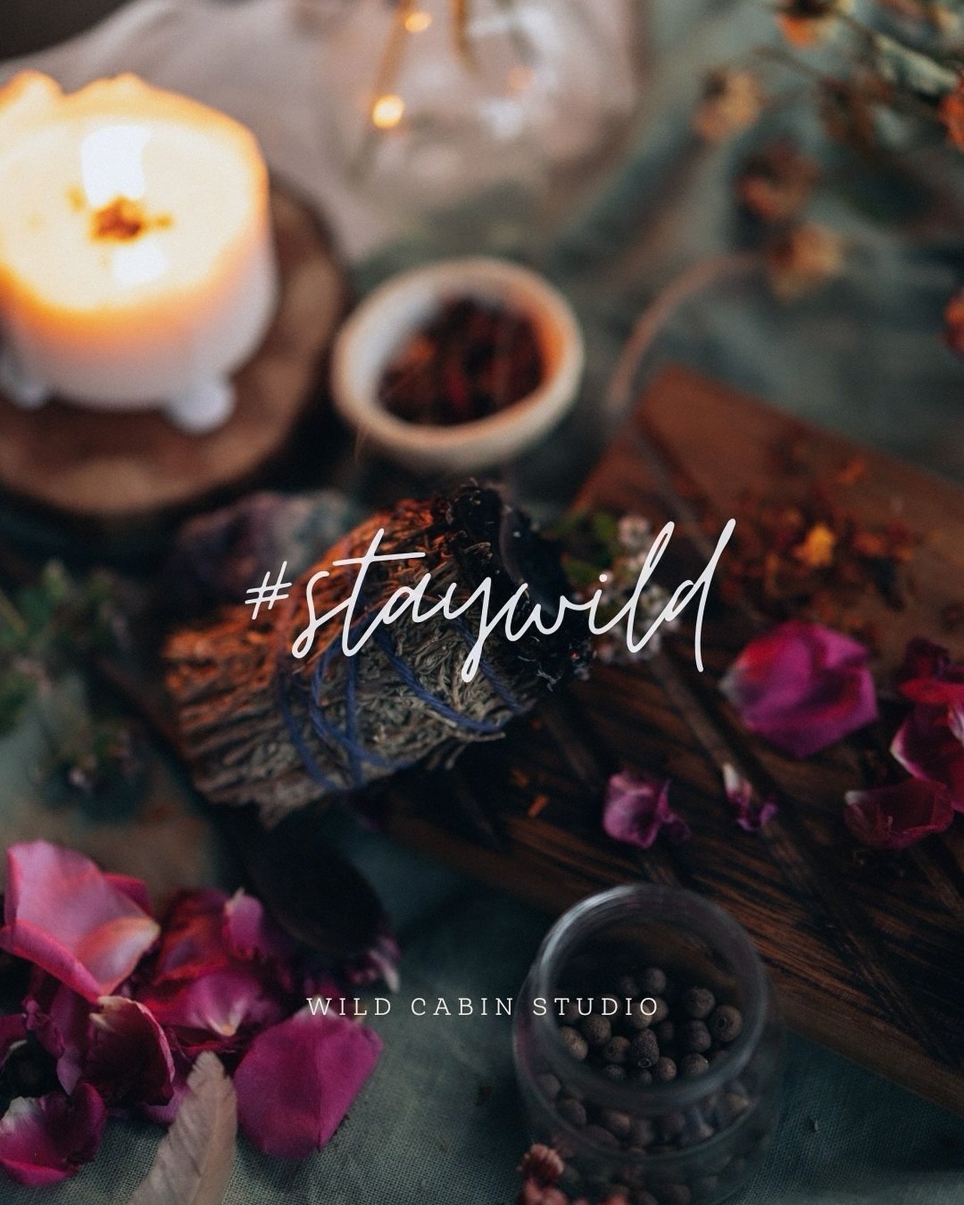 &ldquo;Stay Wild&rdquo; is more than just words; it&rsquo;s our collective mantra. It&rsquo;s an invitation to break away from the conventional and venture into the extraordinary. Let us help manifest a logo and brand identity that mirrors the wild a