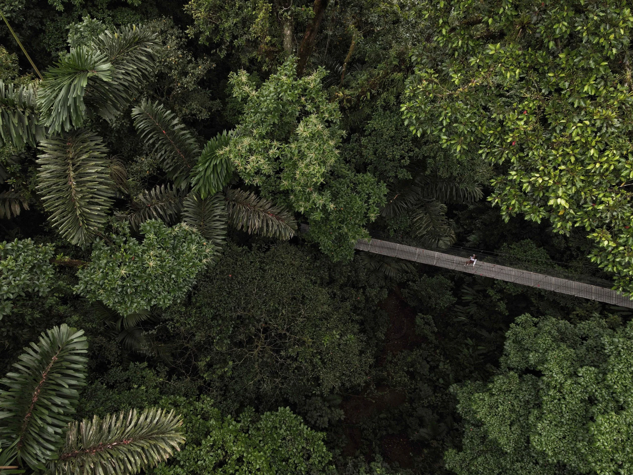 Mistico Park: Crossing the Rainforest Canopy in La Fortuna