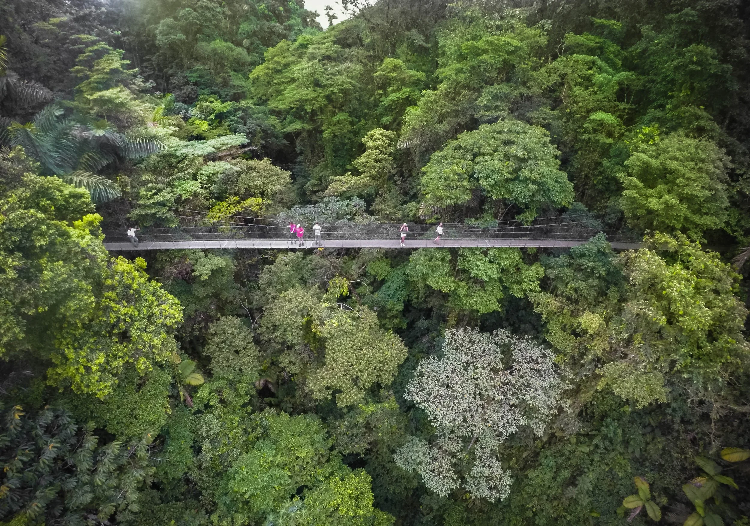 How to Build a Self-Guided Costa Rica Itinerary (Without a Tour Operator)