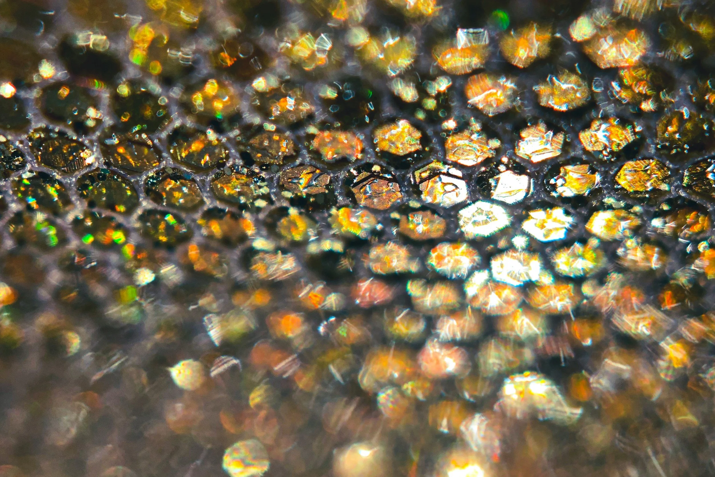 Sensory Delay as a Feature: Janus Microswimmers That Adapt to Light and Chemistry