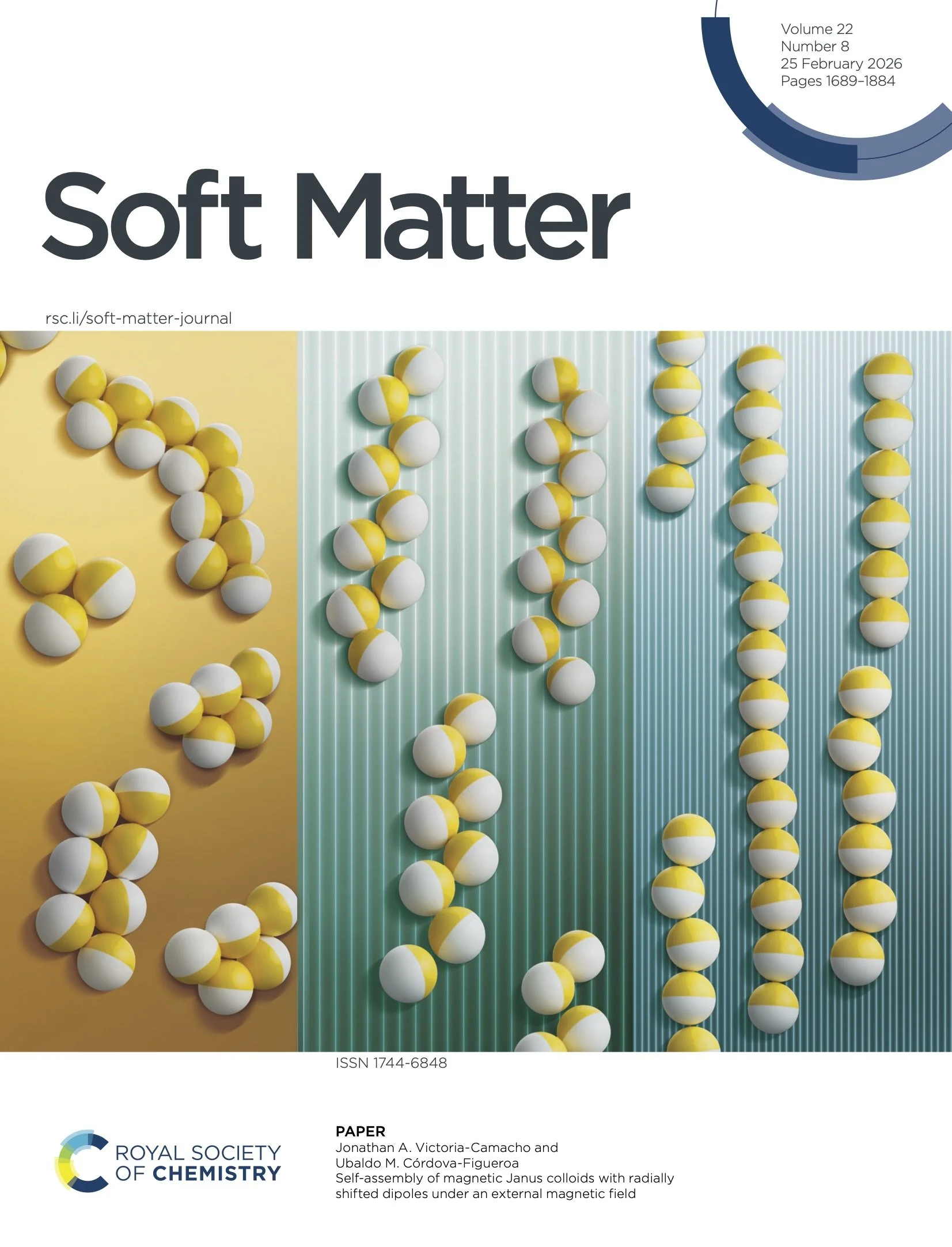 authorreprints (cover).jpg