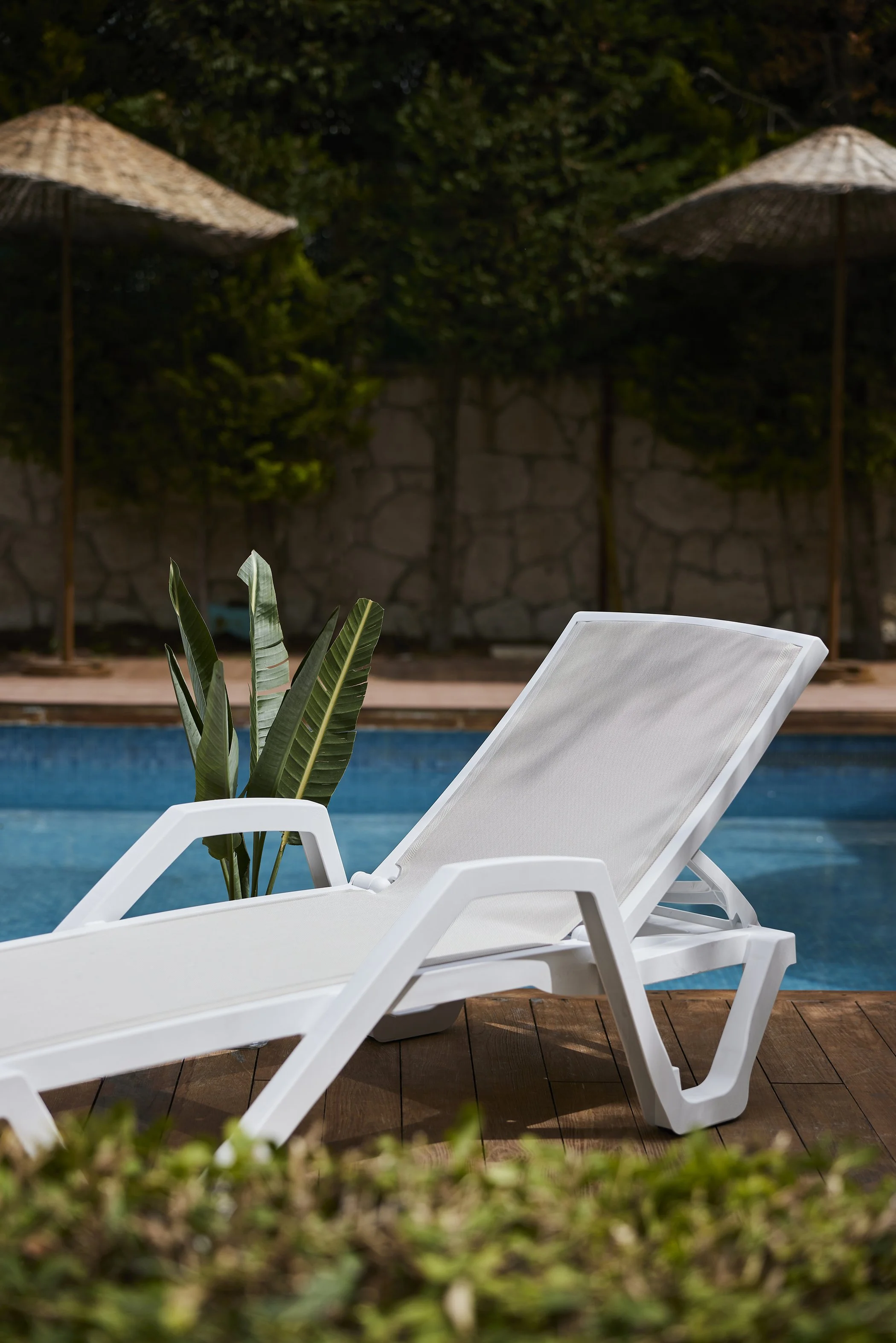 _KTS0182 copy copia.jpg