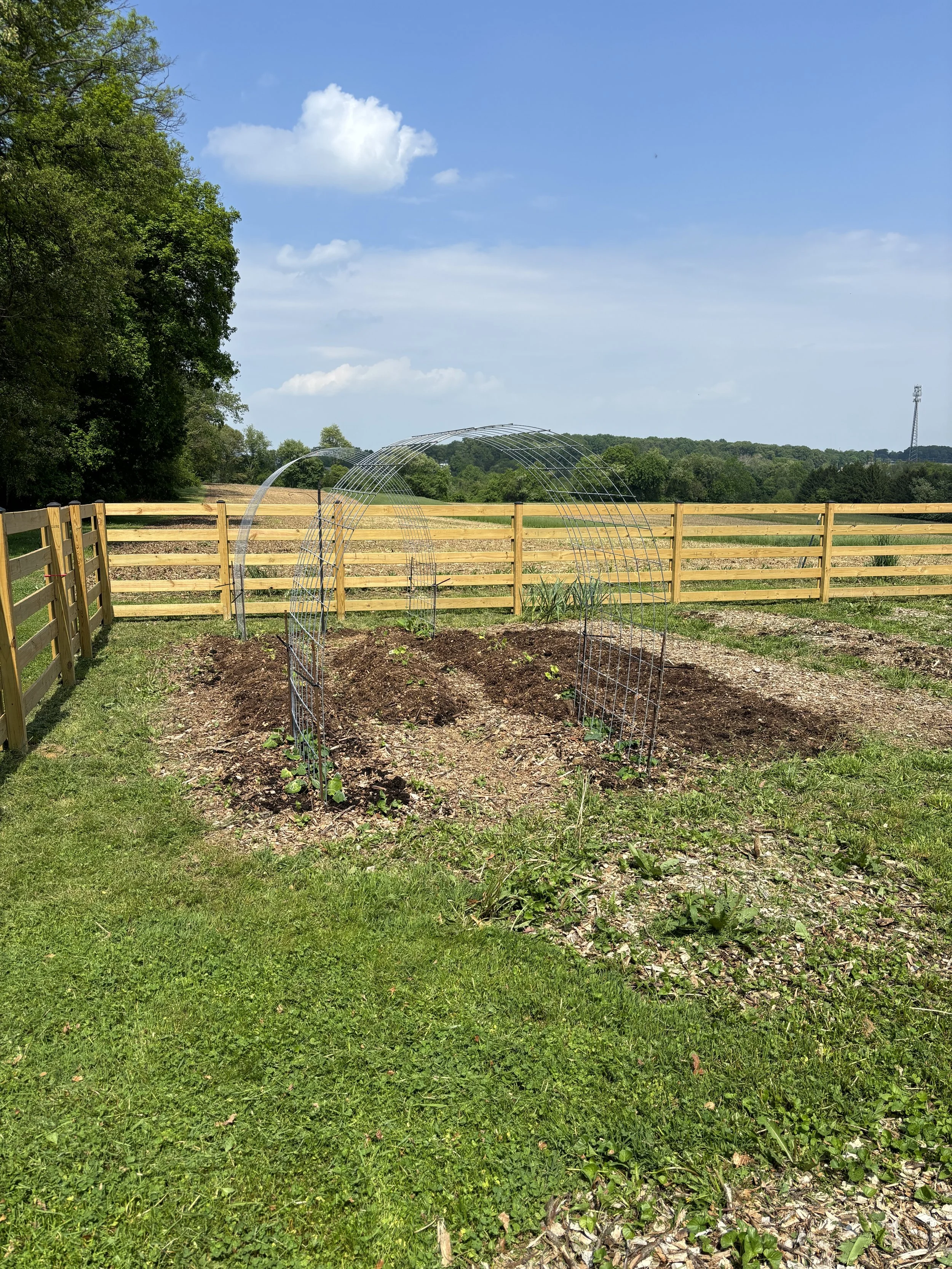 Farm Update: “Frost Date” (w/ photos!)