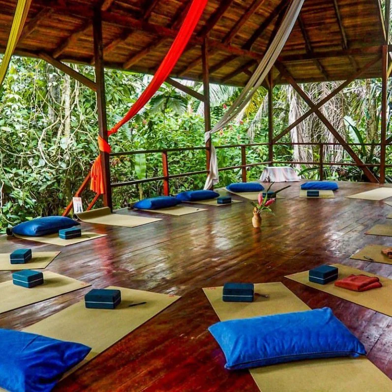 CR yoga shala jas.jpg