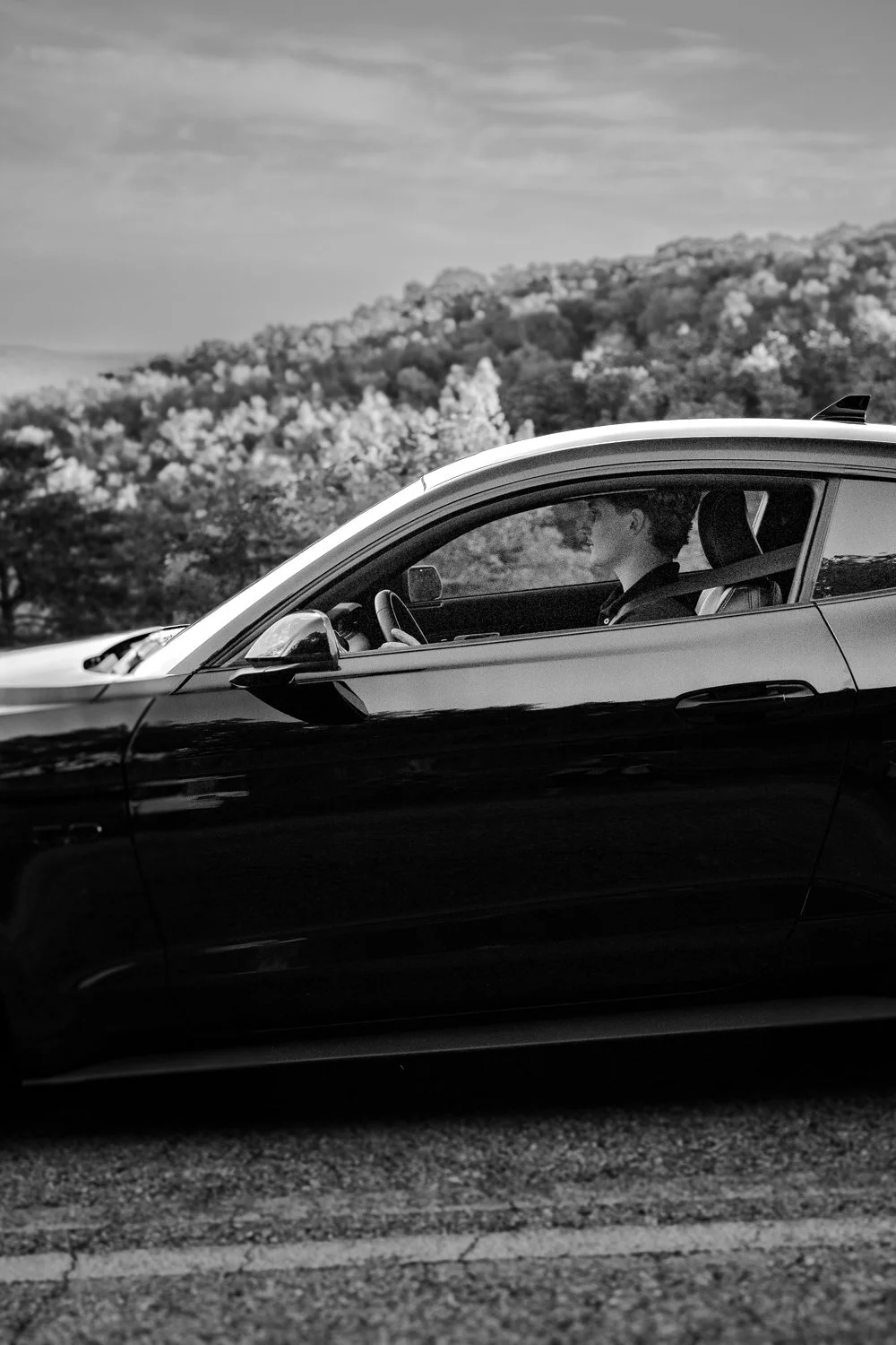 bottle tree photo-76.jpg