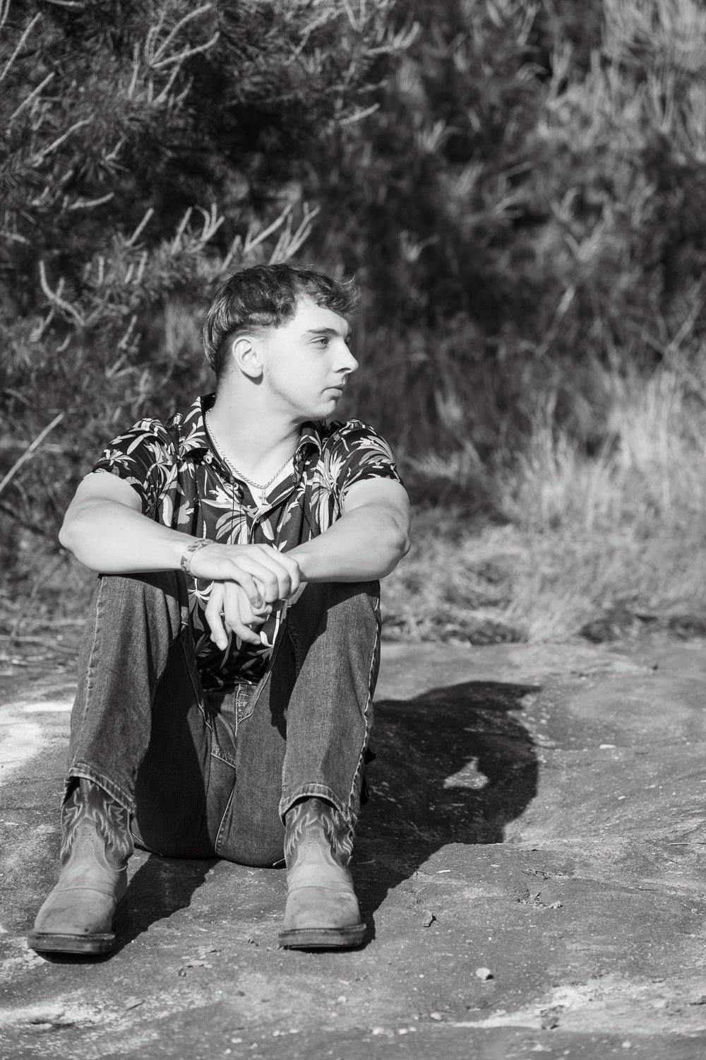 bottle tree photo-34.jpg