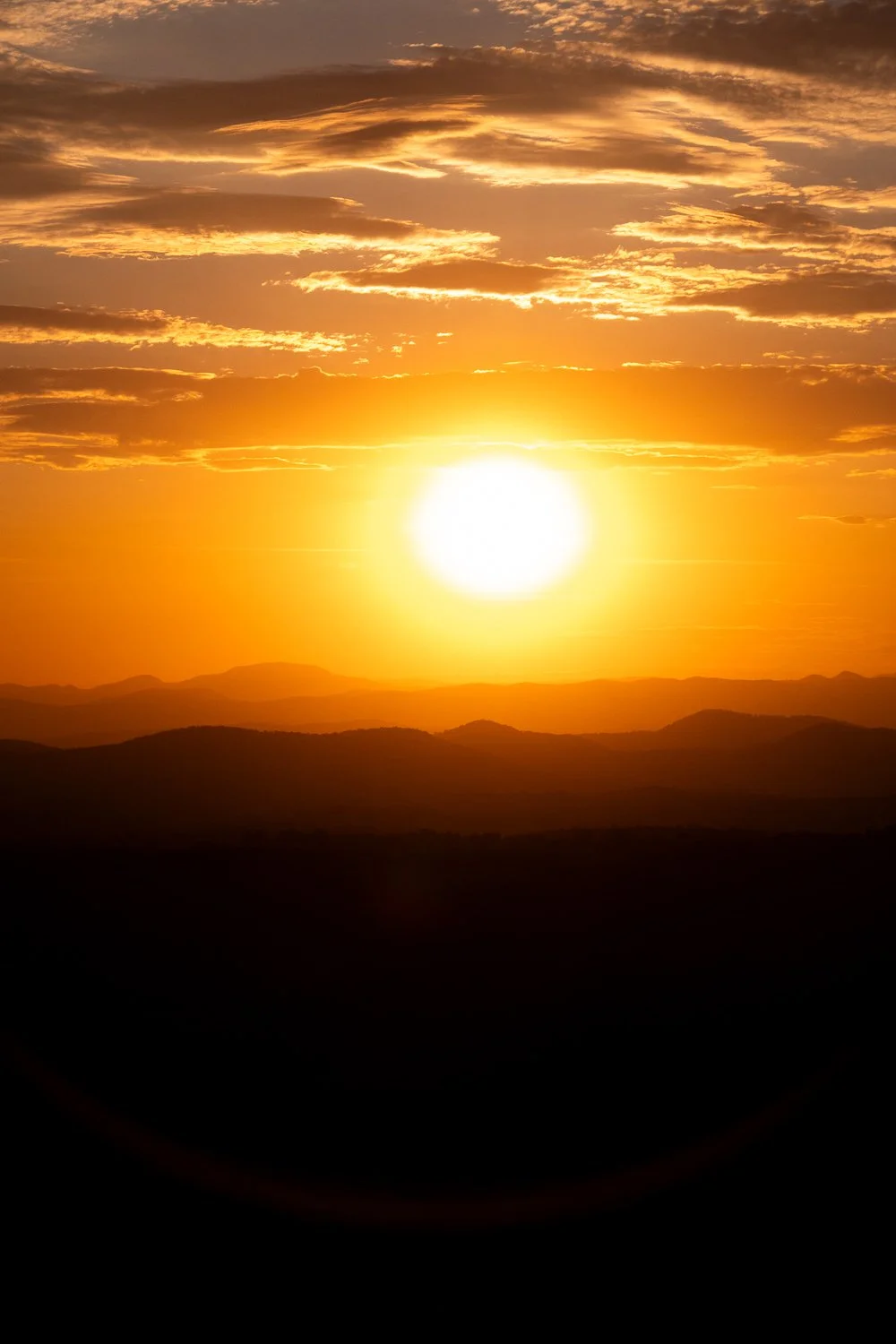 bottle tree photo-13.jpg