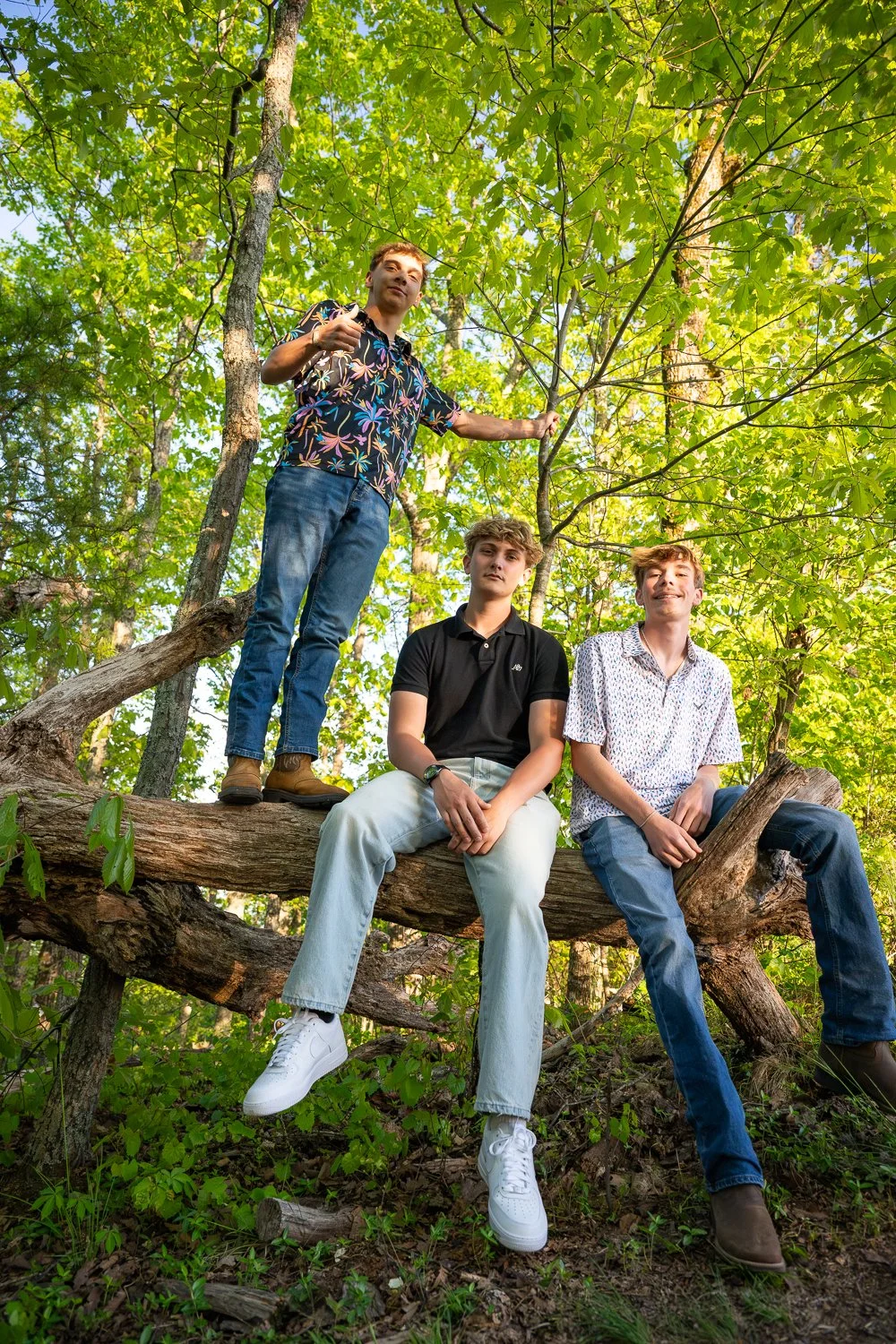 bottle tree photo-63.jpg