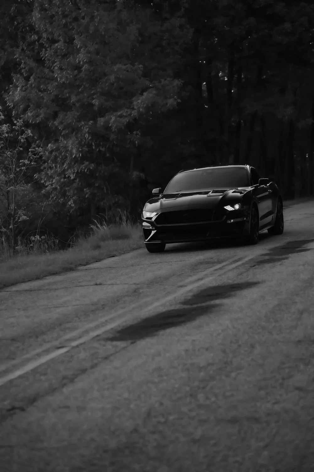 bottle tree photo-78.jpg