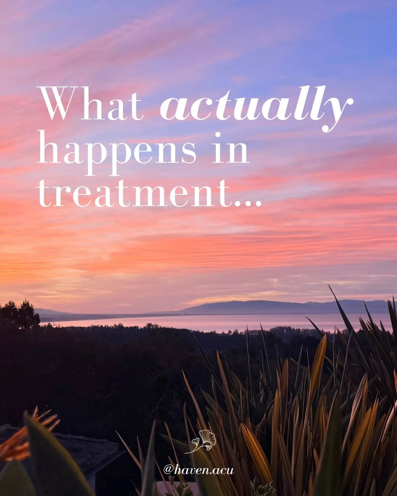 You can&rsquo;t change a pattern when you aren&rsquo;t conscious of it.

This past weekend in the Santa Cruz mountains with my annual women&rsquo;s group, I kept coming back to this word: witnessing.

3 years ago, these women witnessed alllll my feel