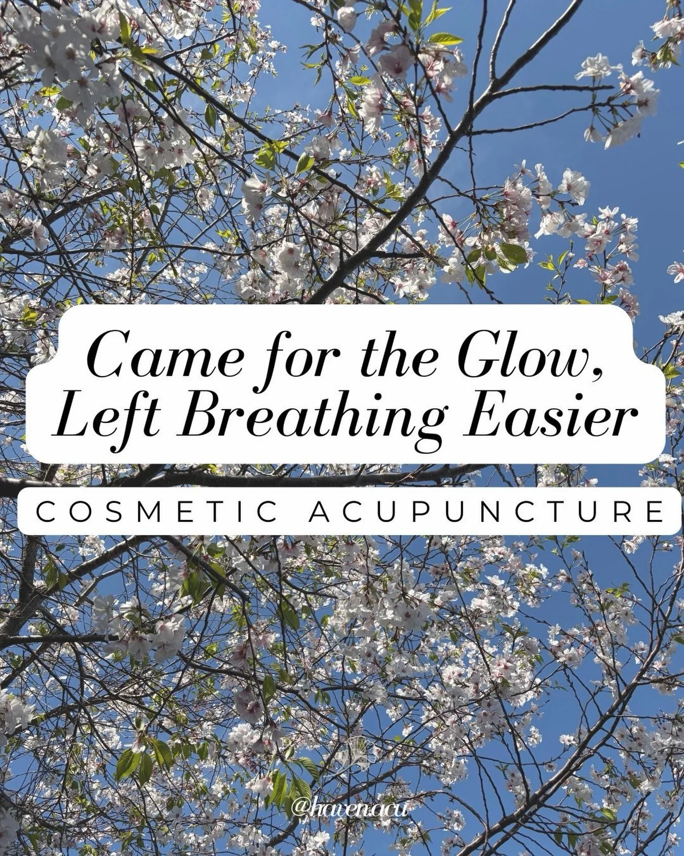 As the flowers bloom and the weather warms, many of us welcome spring with open arms&hellip; while others brace for sneezing, congestion, and itchy eyes. Seasonal allergies can make this beautiful time of year feel miserable, but Traditional Chinese 