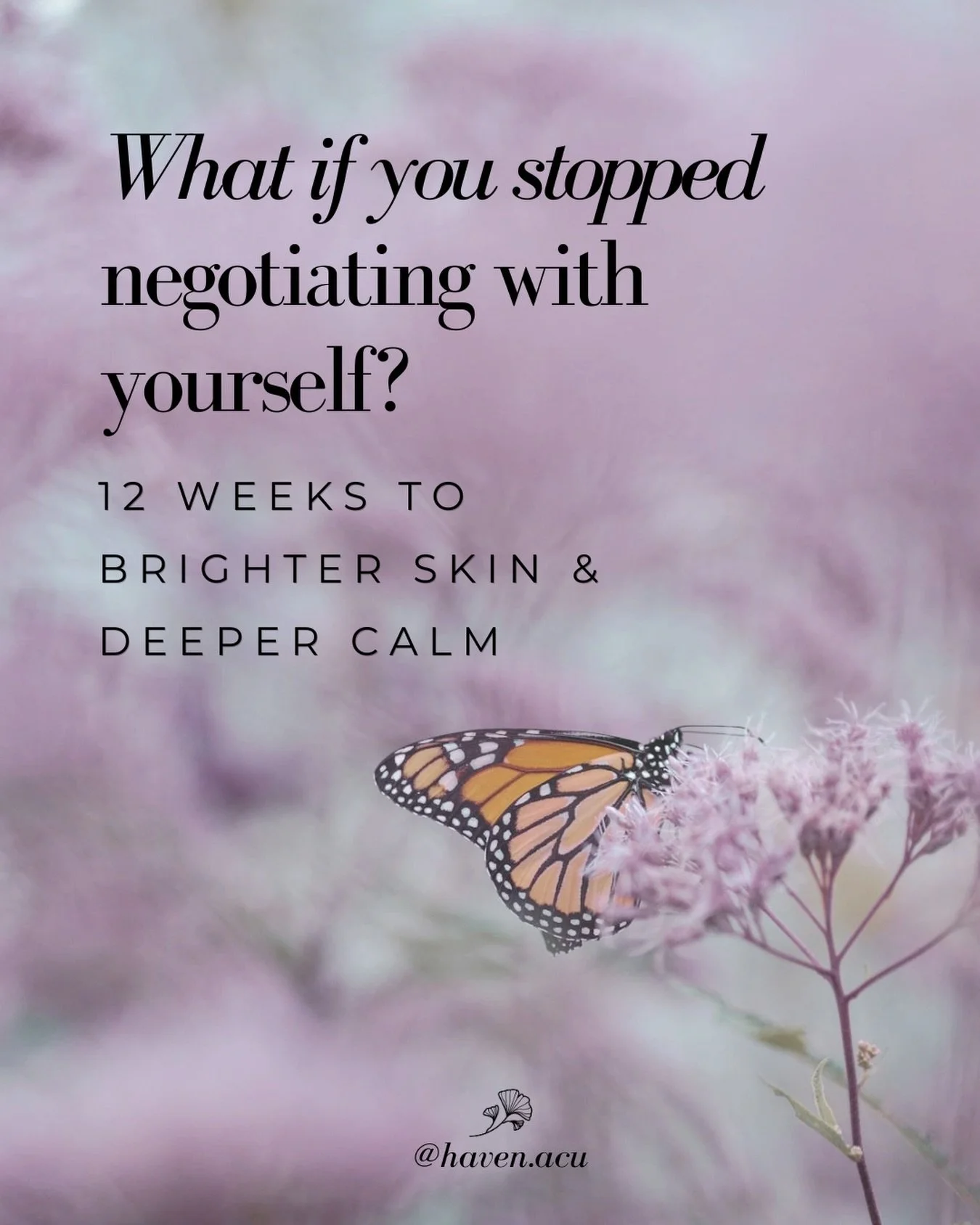 Your nervous system doesn&rsquo;t respond to urgency. It responds to steadiness.

Many patients who find their way to Haven Acu are in the middle of something: a transition. A loss. A grief.&nbsp; A career that no longer fits. Beginnings or endings. 