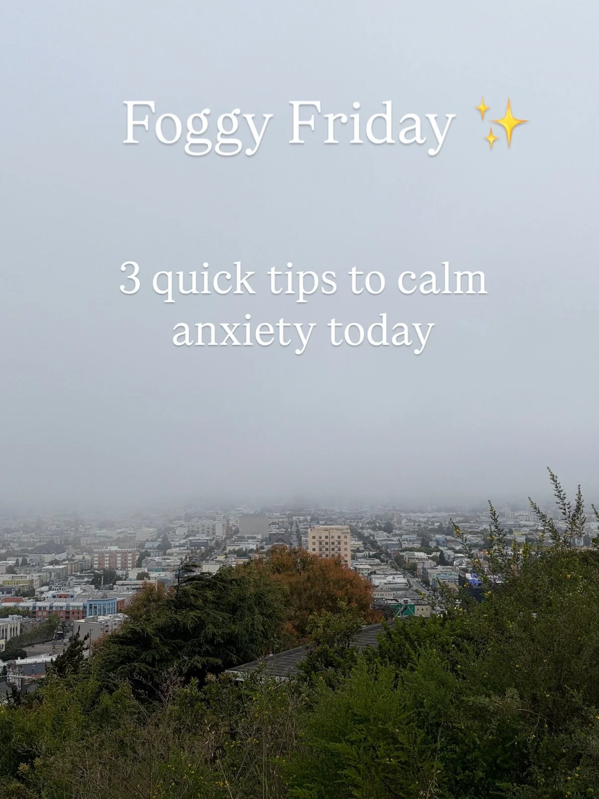 The fog today is giving cozy nervous system reset vibes. Lean in. 

💚 Jeannie
🌐 www.haven-acu.com
📍 Mission District, San Francisco

#karlthefog #sfacupuncture #anxietyrelief #nervoussystemcare