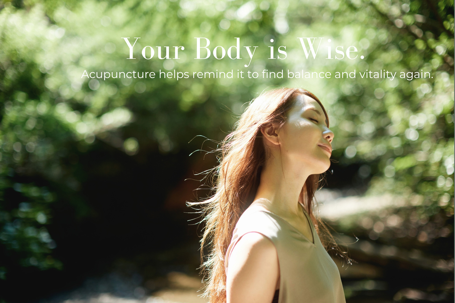 Hormone Imbalance Acupuncture San Francisco | Haven Acu — Haven ...