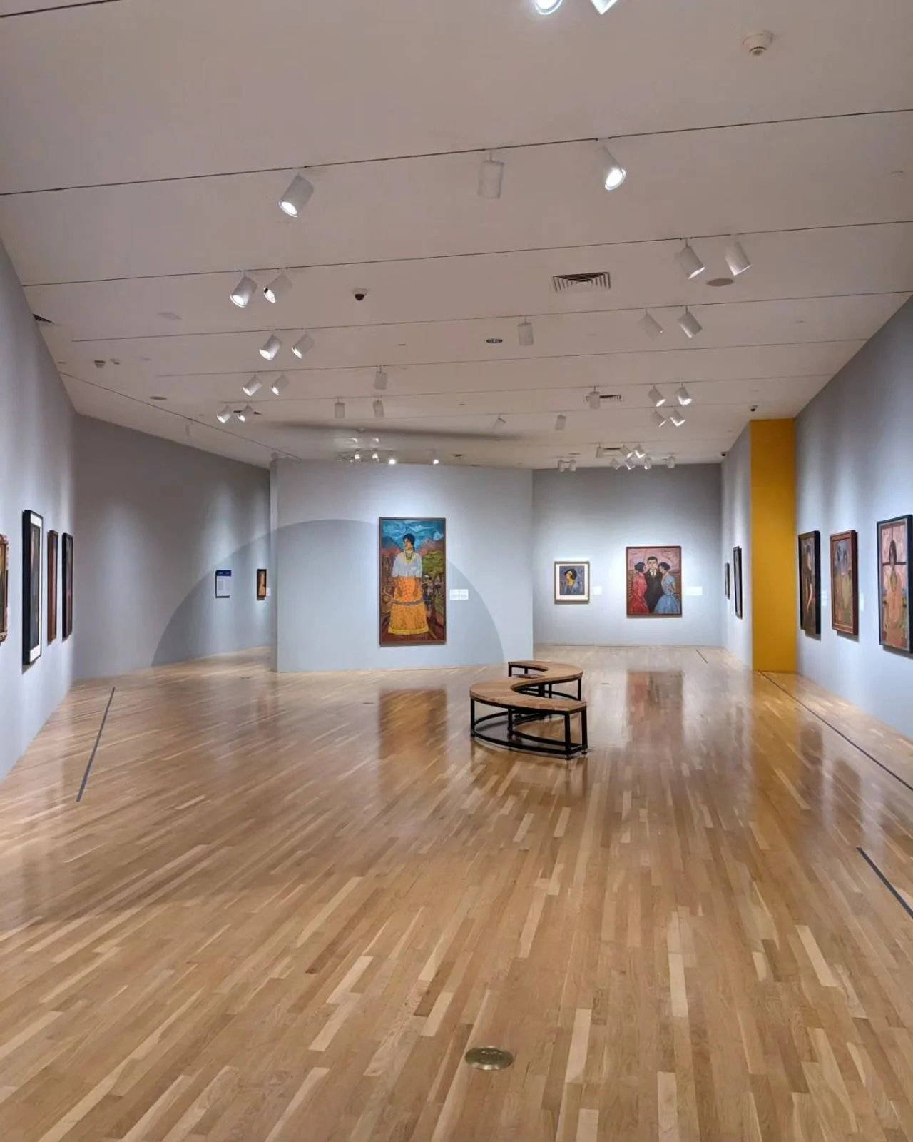 Abraham Ángel: Between Wonder and Seduction | Exhibition Designer