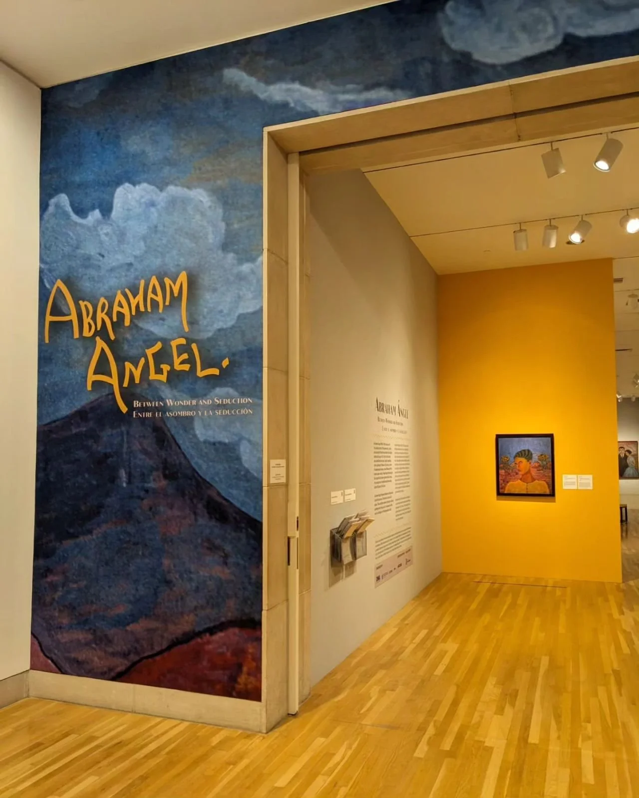 Abraham Ángel: Between Wonder and Seduction | Exhibition Designer