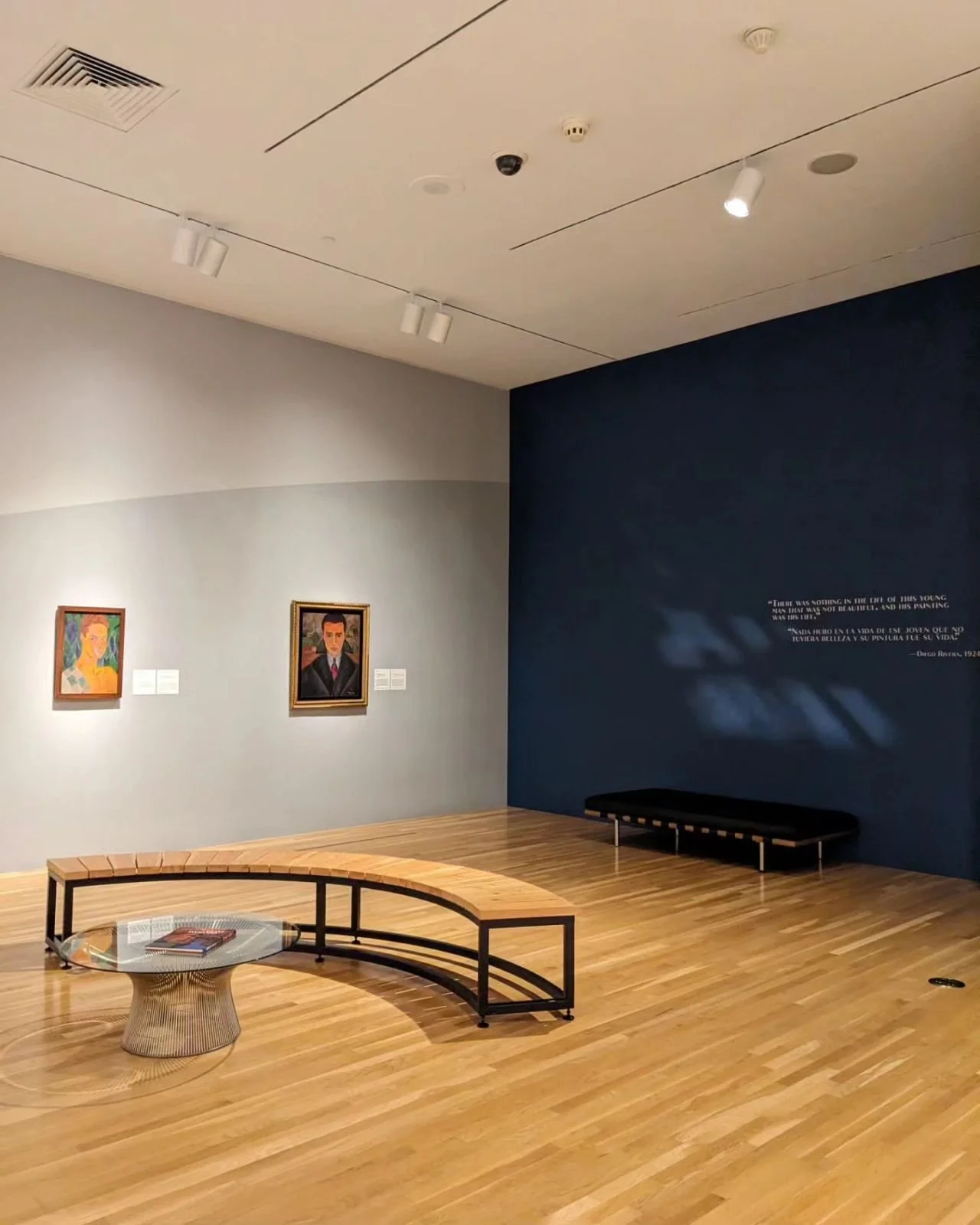 Abraham Ángel: Between Wonder and Seduction | Exhibition Designer