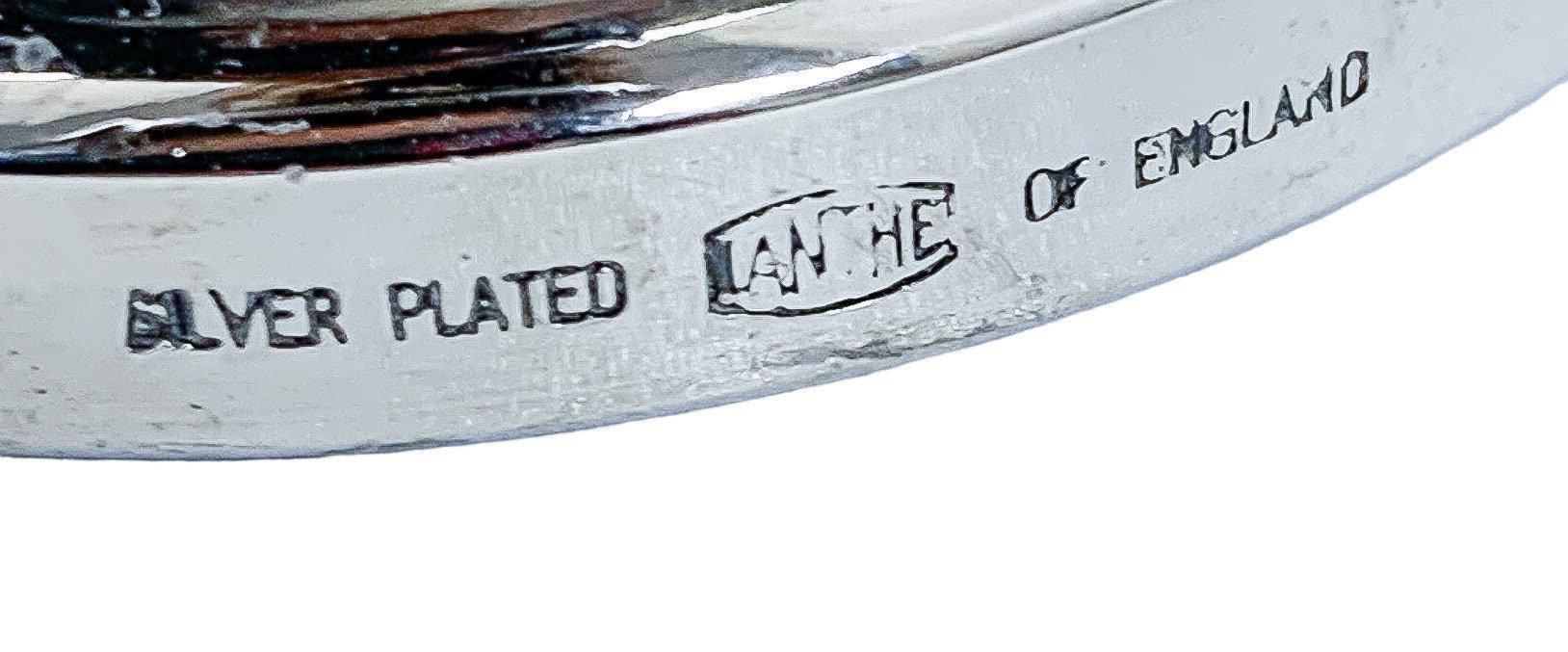 https://i.etsystatic.com/29579960/r/il/38777b/4226689493/il_fullxfull.4226689493_et7n.jpg