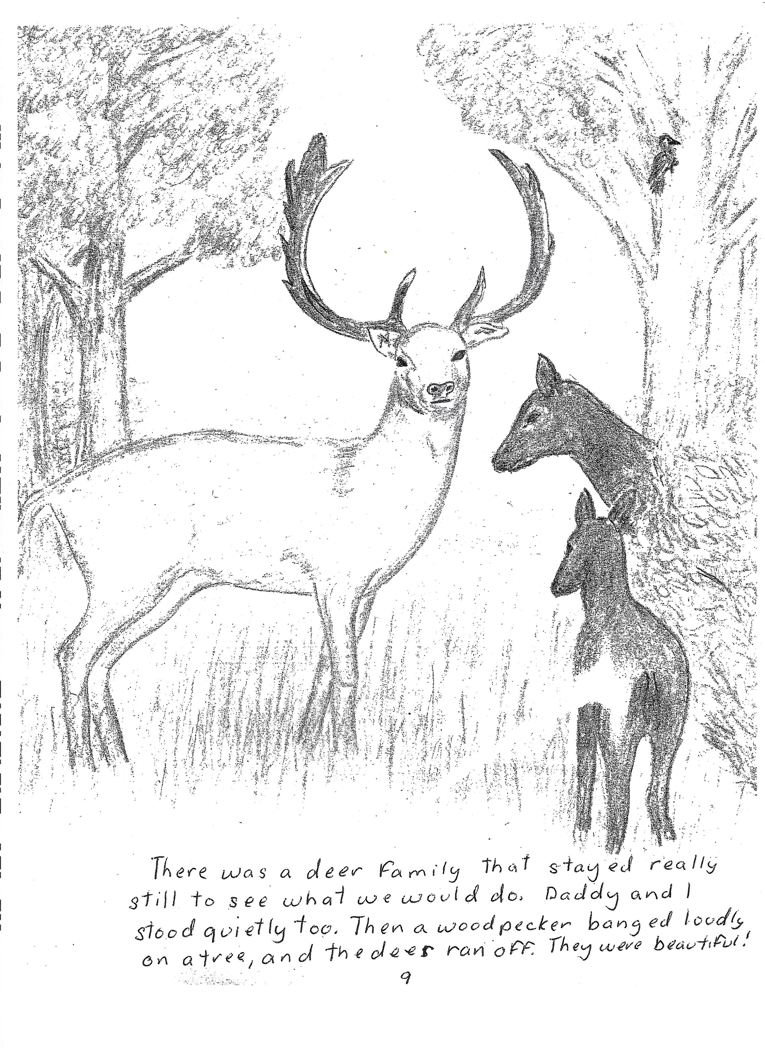 A Walk In The Woods_8.png