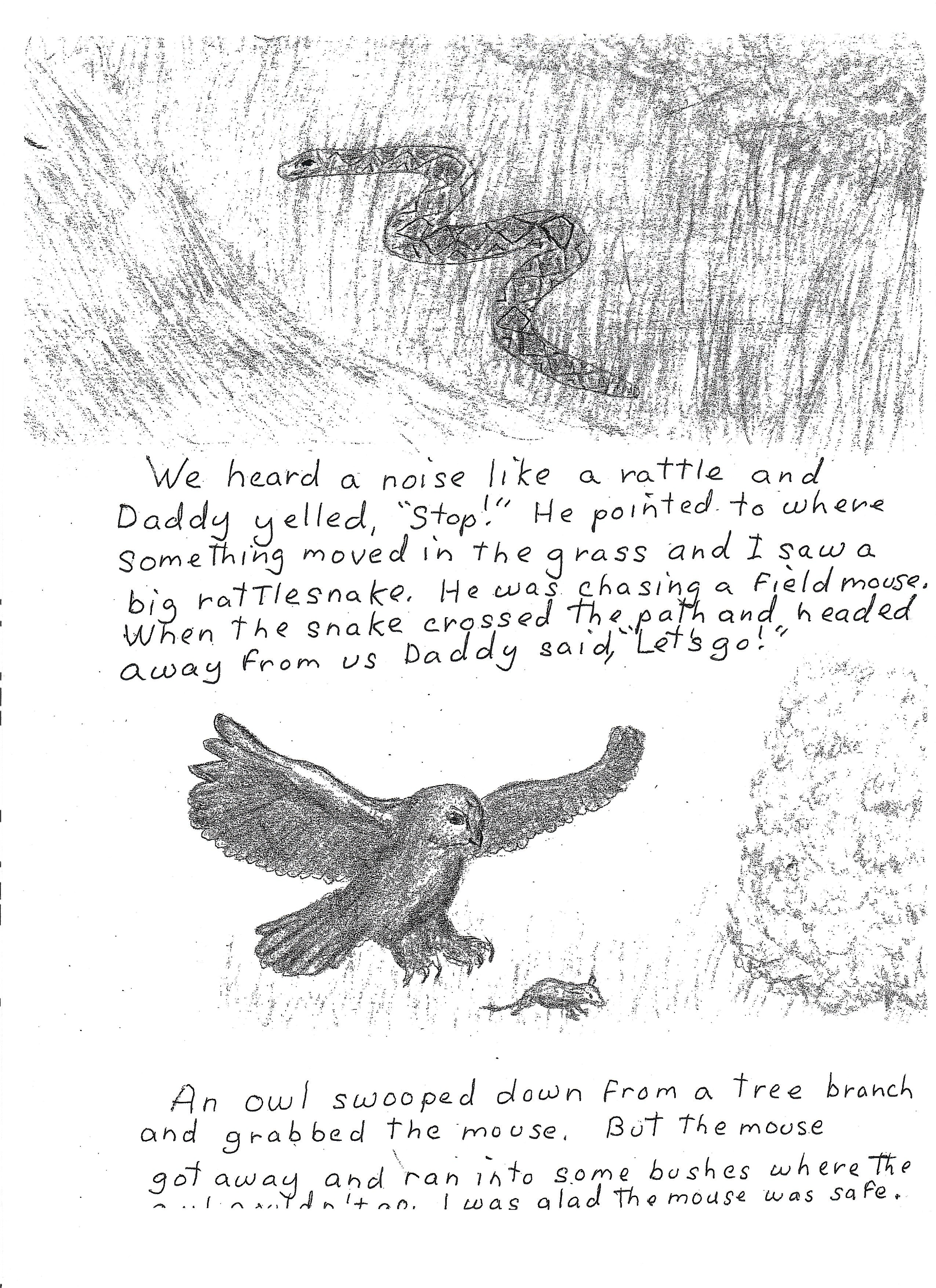 A Walk In The Woods_4.png