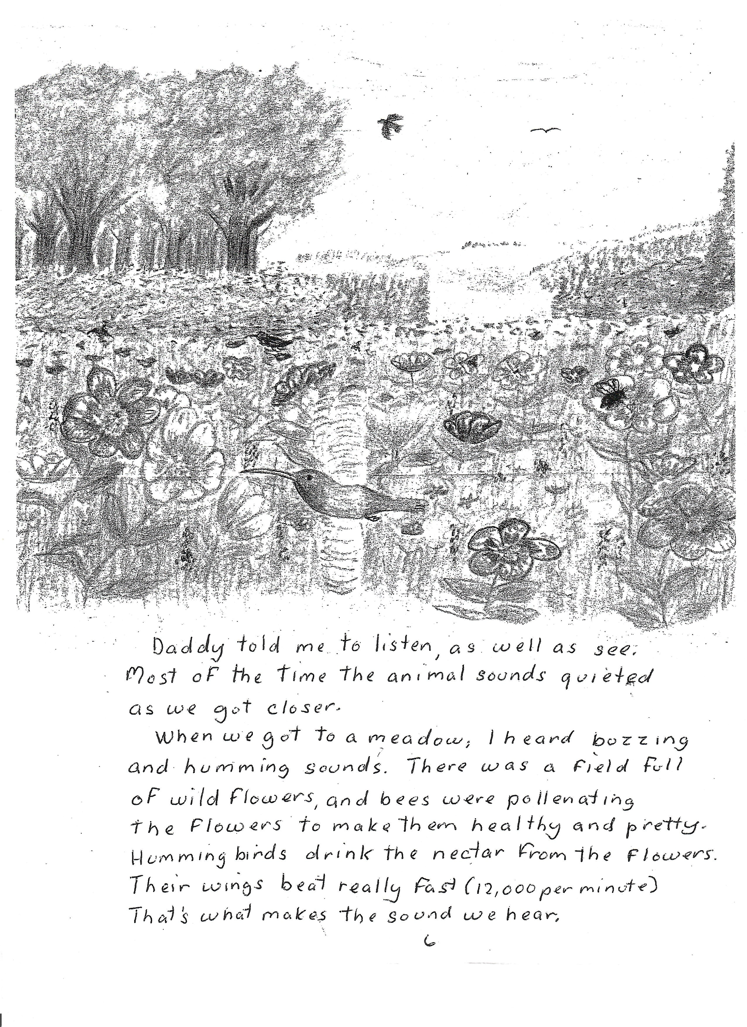 A Walk In The Woods_5.png