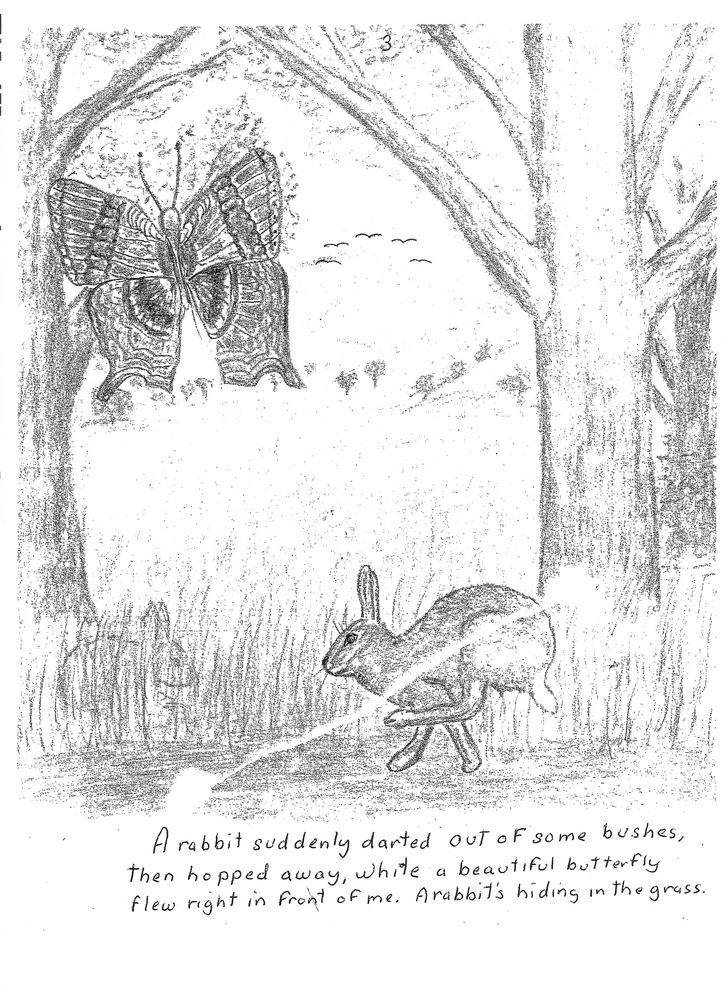 A Walk In The Woods_2.png