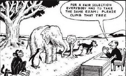 The Myth of Grade Level Standards