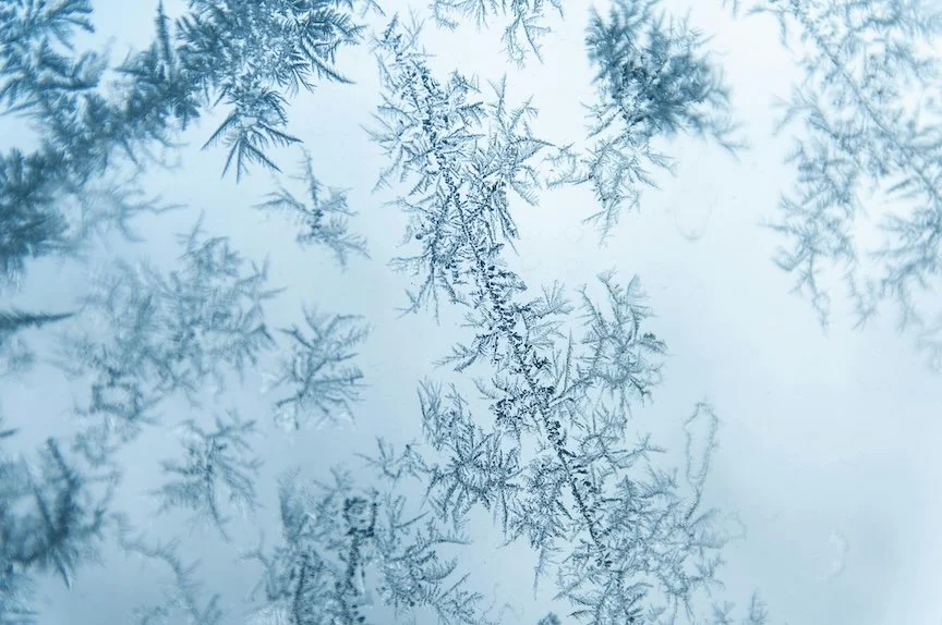 Ways to Celebrate Winter Indoors … and Survive It!