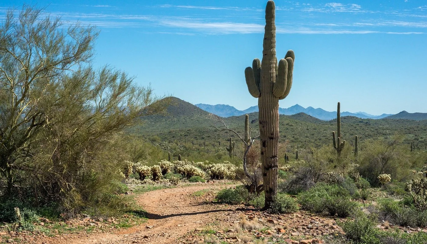 Individual support // Hourly rate