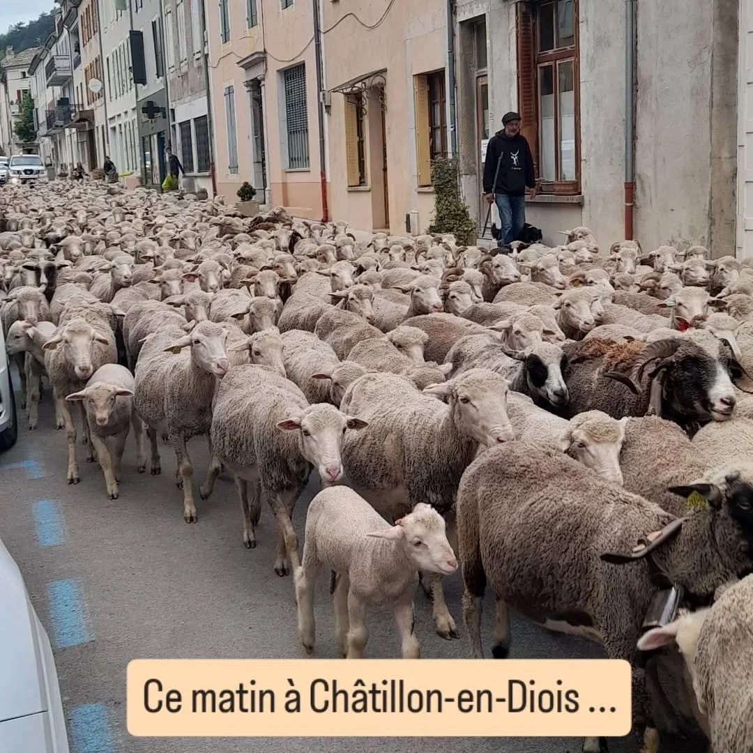 Voil&agrave;, un premier mai &agrave; la campagne...
@chatillonendiois @paysdioistourisme @parcduvercors @inspirationvercors