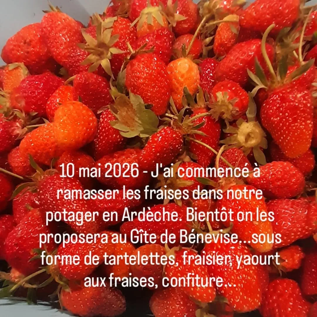 Le journal du potager...Retrouvez les fraises dans les assiettes au g&icirc;te d'&eacute;tape de B&eacute;nevise !

#randonn&eacute;e #diois #vercors #chatillonendiois #archiane 
@paysdioistourisme 
@chatillonendiois