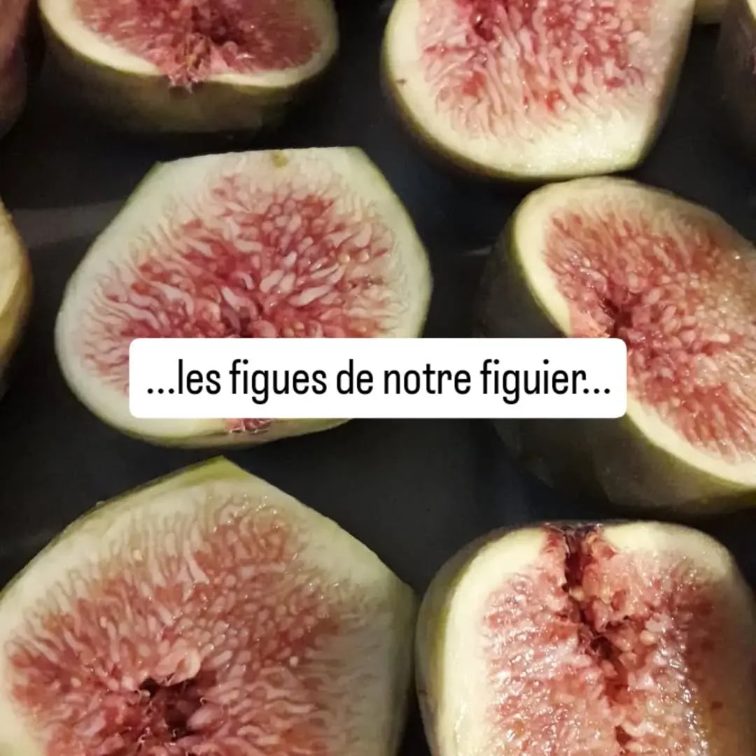 Toujours chouette d'int&eacute;grer les fruits de notre potager dans nos plats. 
Et puisque nous avons congel&eacute; quelques fruits, on r&eacute;galera nos clients avec -  m&ecirc;me en automne...
Clafoutis de figues, compote de figures (avec foie 