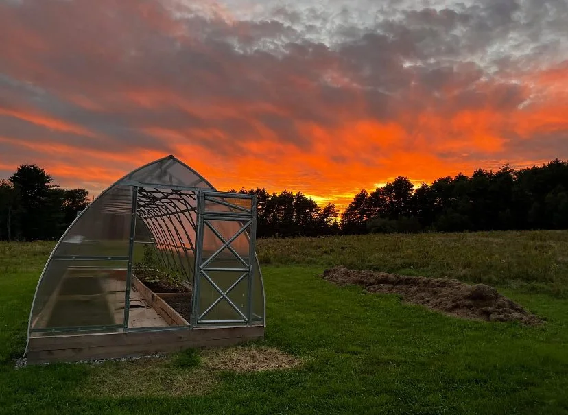 Screenshot 2025-01-15 at 1.47.14 PM.jpeg