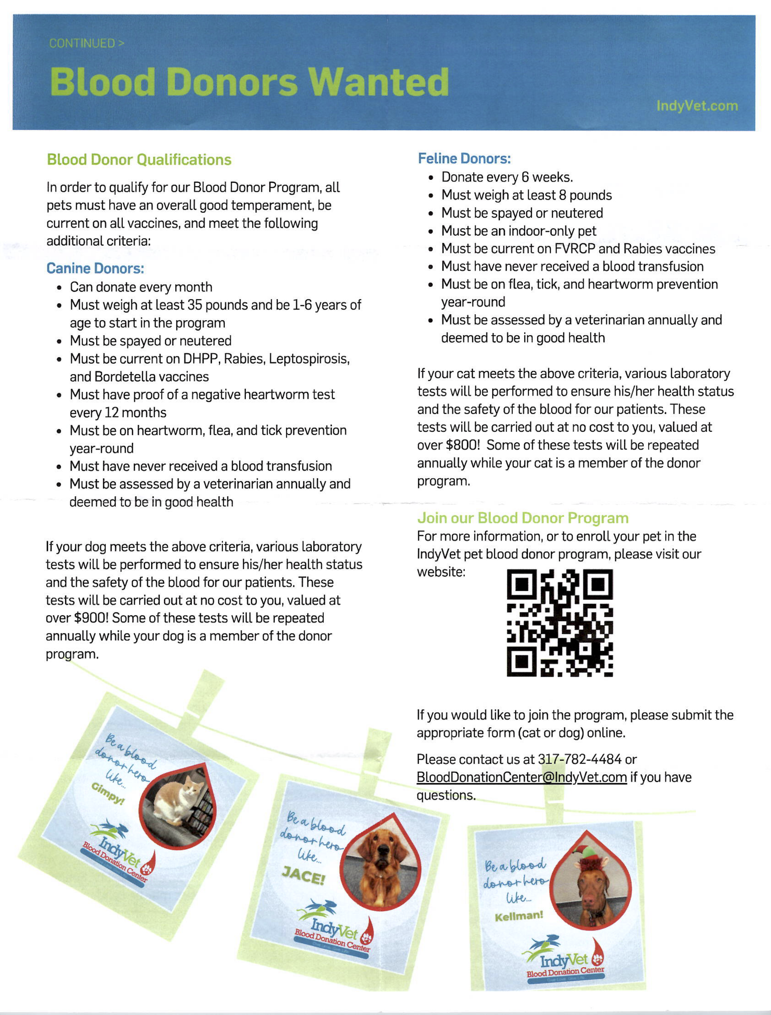 Flyer titled "Blood Donors Wanted" from IndyVet.com with information on blood donor qualifications for cats and dogs, including eligibility criteria, screening tests, and enrollment instructions. Contains pictures of cats and dogs with blood donor campaign messages.