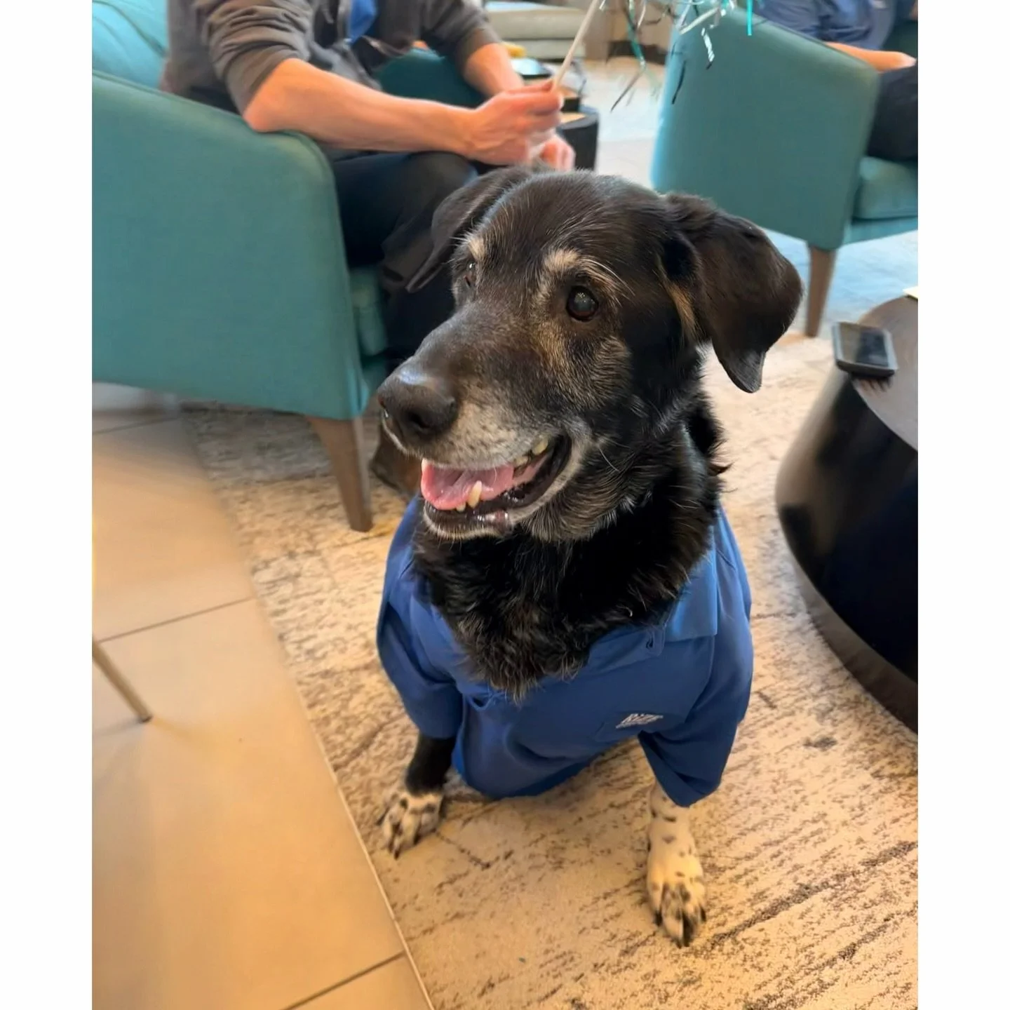Meet Wally! 🐶🐾

At Rize at Opus Park, each Wednesday we have a team tradition where Wally, Maintenance Technician, Cole&rsquo;s dog, joins us during our morning huddles to bless us with his fun presences! 

Wally loves: 
- rubs 
- relaxing on our o