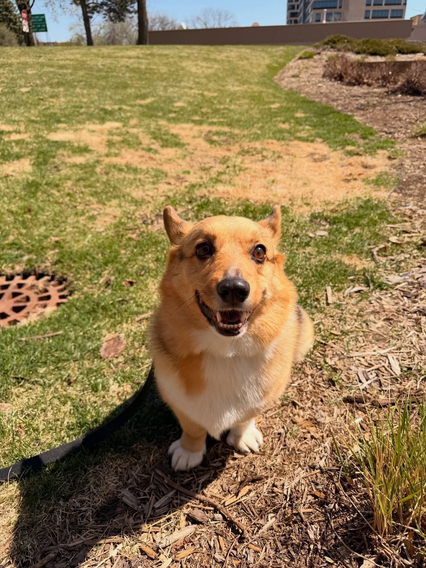 It&rsquo;s a PURRfect day outside today 🐾☀️

Our community just got a whole lot happier thanks to these adorable furry residents. Whether they&rsquo;re greeting you at the door or soaking up the sunshine, they&rsquo;re part of what makes this place 