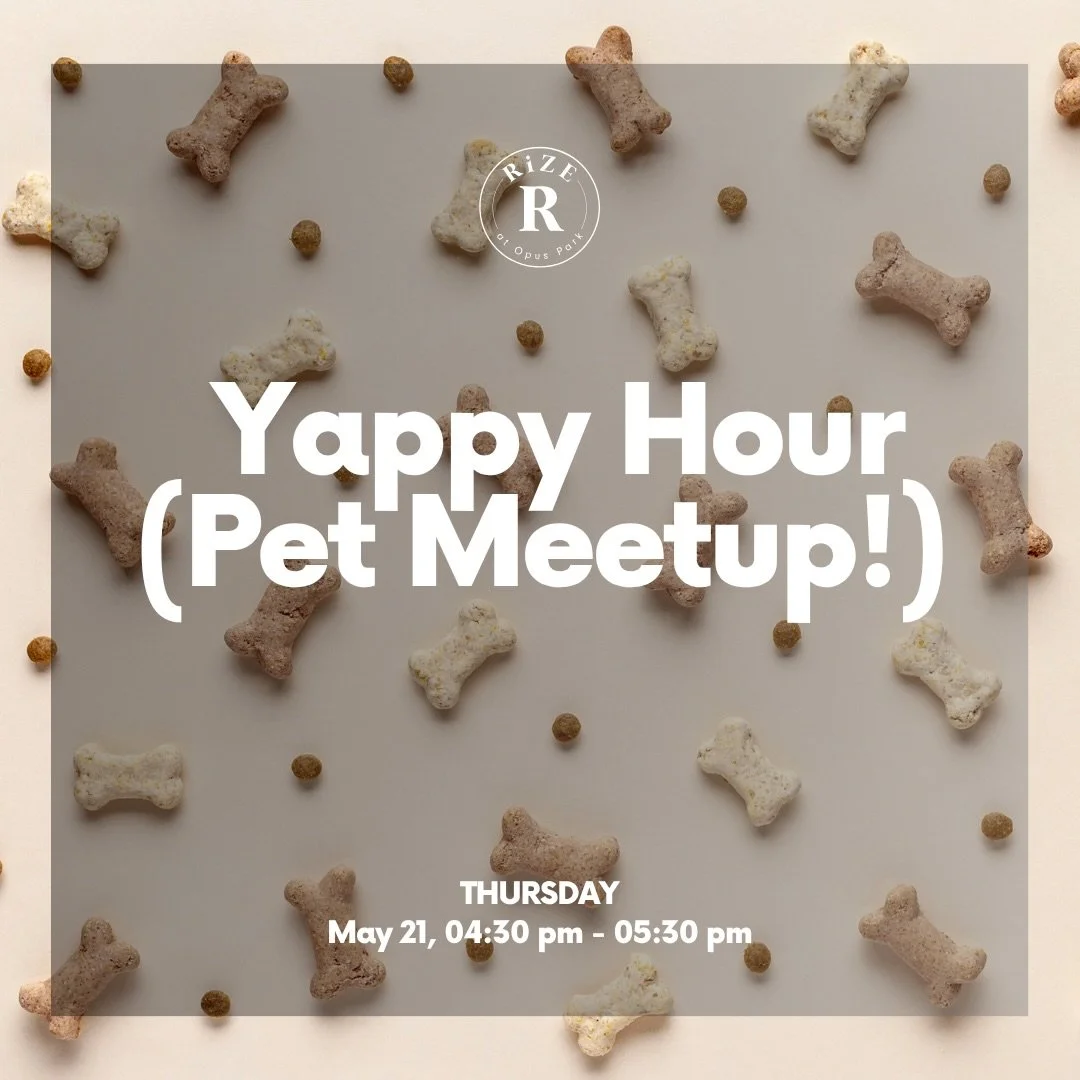Poolside Pet Playdate Alert! ☀️

Calling all furry residents + their humans! Join us today for a paw-some afternoon of treats, mingling, and playtime by the pool! Bring your pet and meet fellow neighbors for some community fun. 🐾

📍 Pool Area
🗓 To