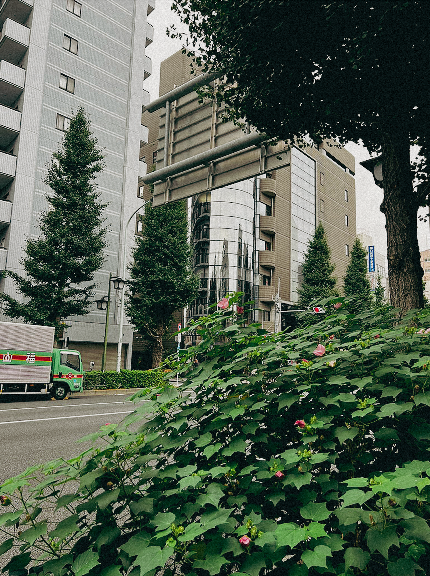 Recentering in Japan pt.1