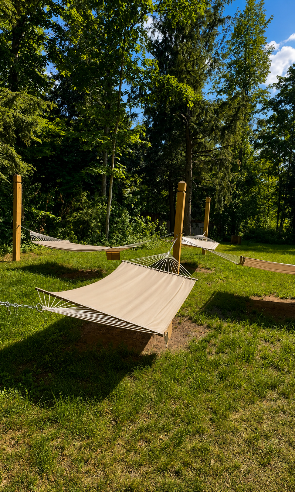 Hammocks surrounded by trees at Raging River Resort in Marquette, Michigan