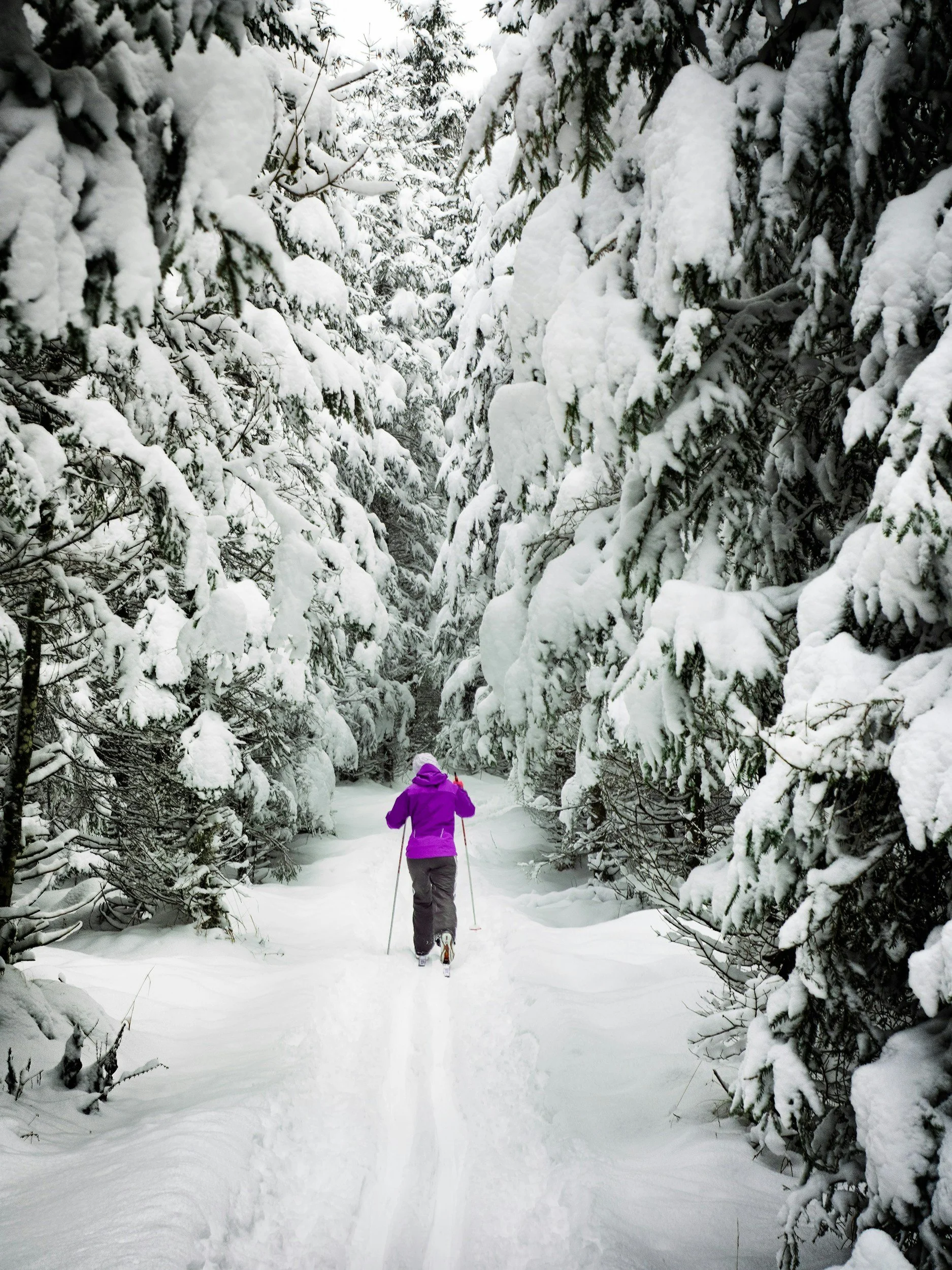 Snowshoeing through a snowy forest at Raging River Resort at Marquette, Michigan